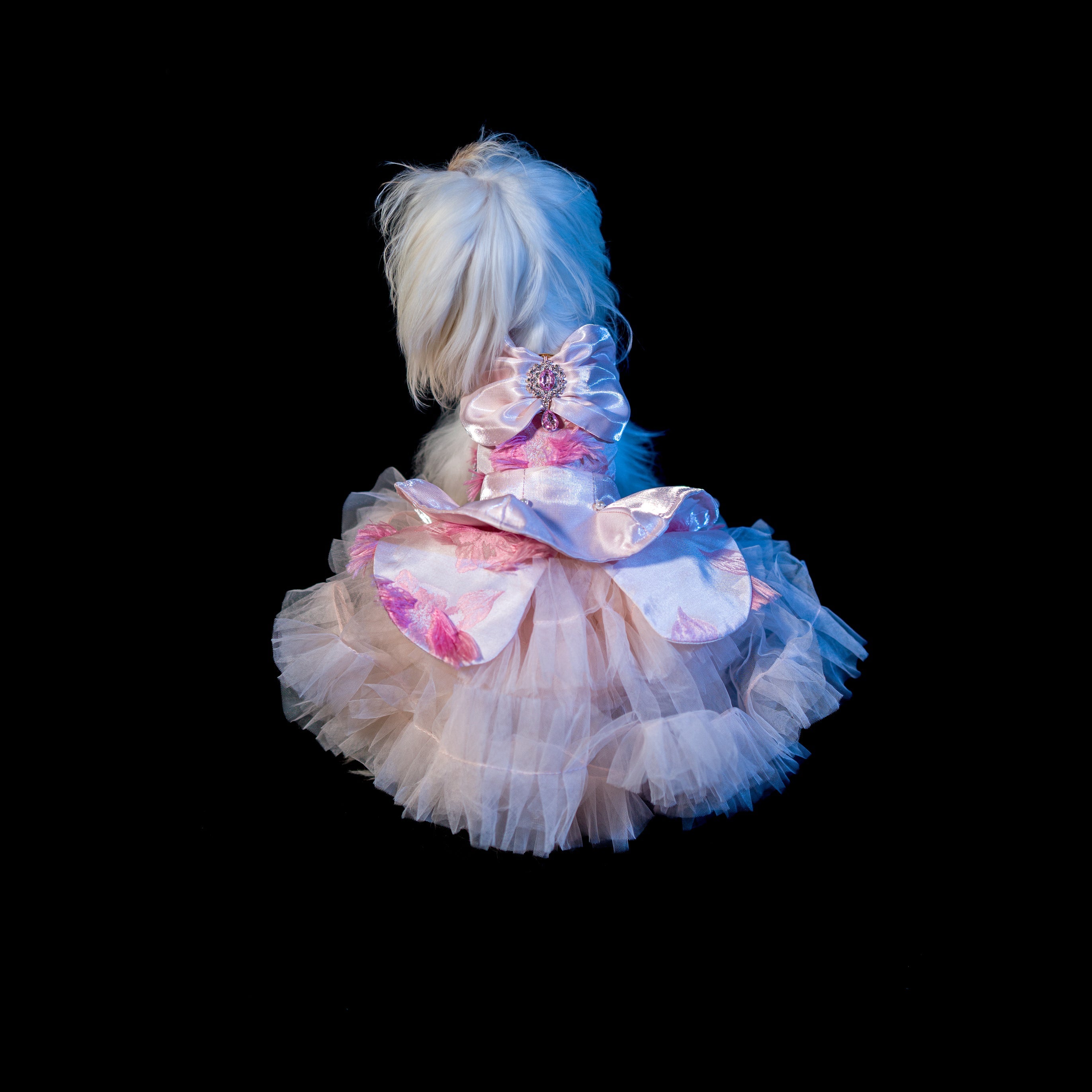 Gilded Paw Paw Sweetie Sara Pet Dress