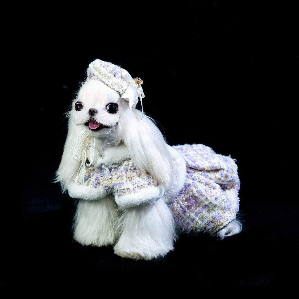 Gilded Paw Paw Winter Melody Dress