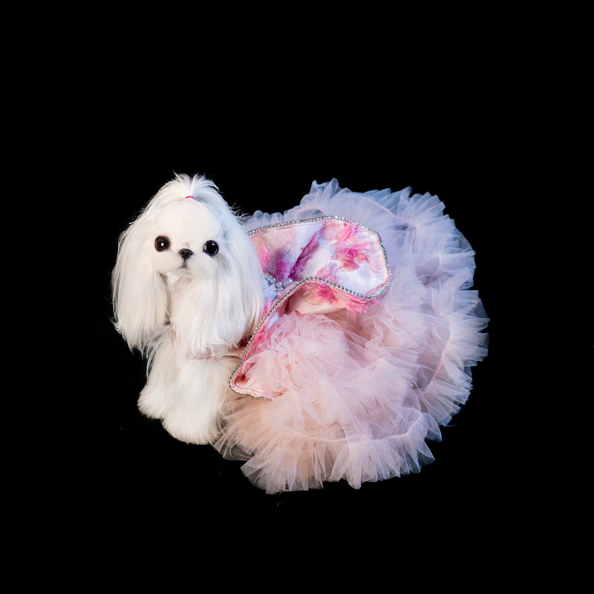 Gilded Paw Paw Summer Verse Pet Dress