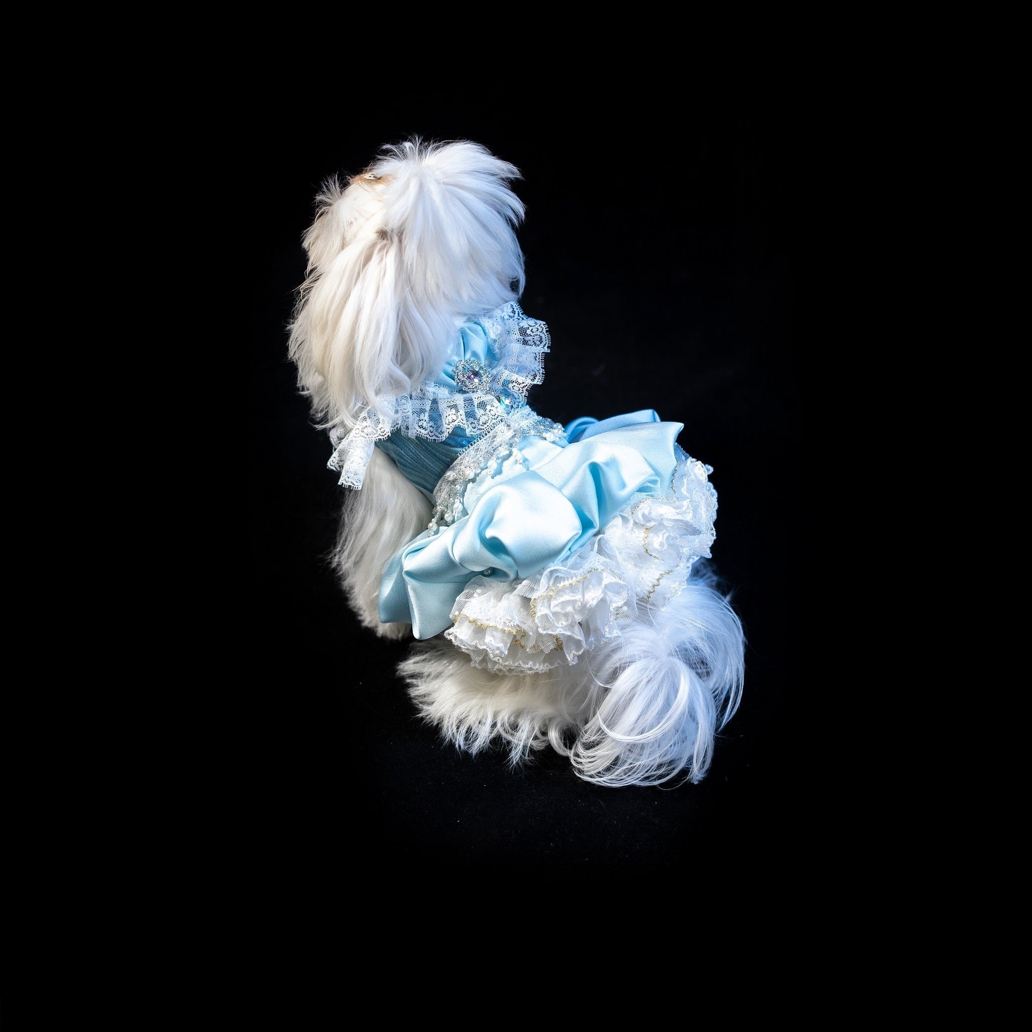 Gilded Paw Paw Edelweiss Pet Dress