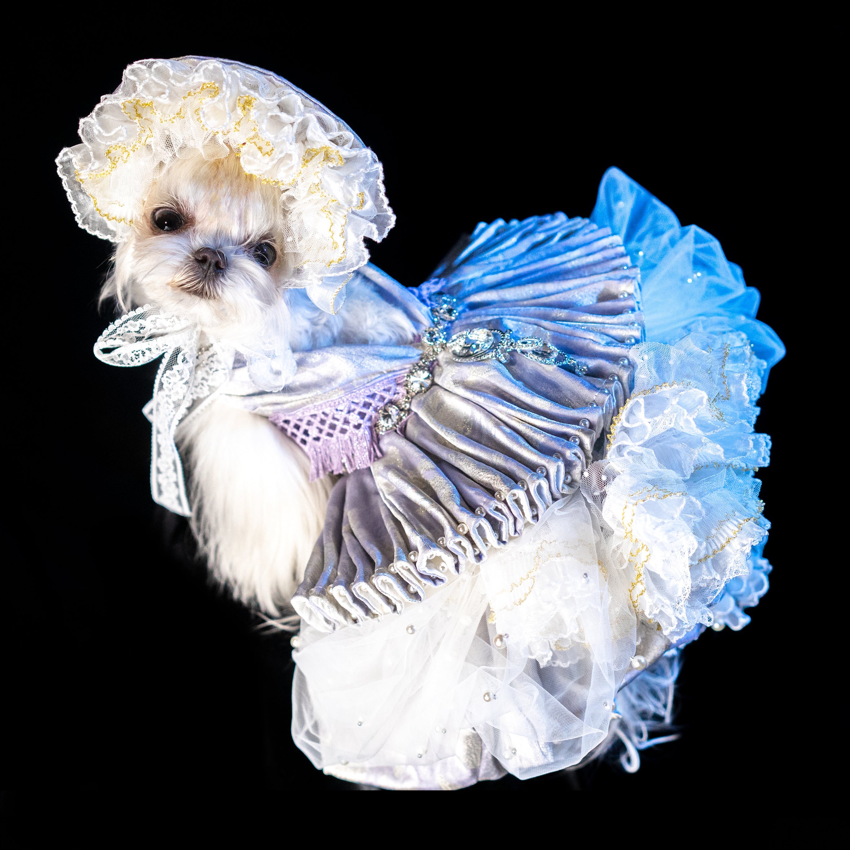 Gilded Paw Paw Elizabeth Pet Dress