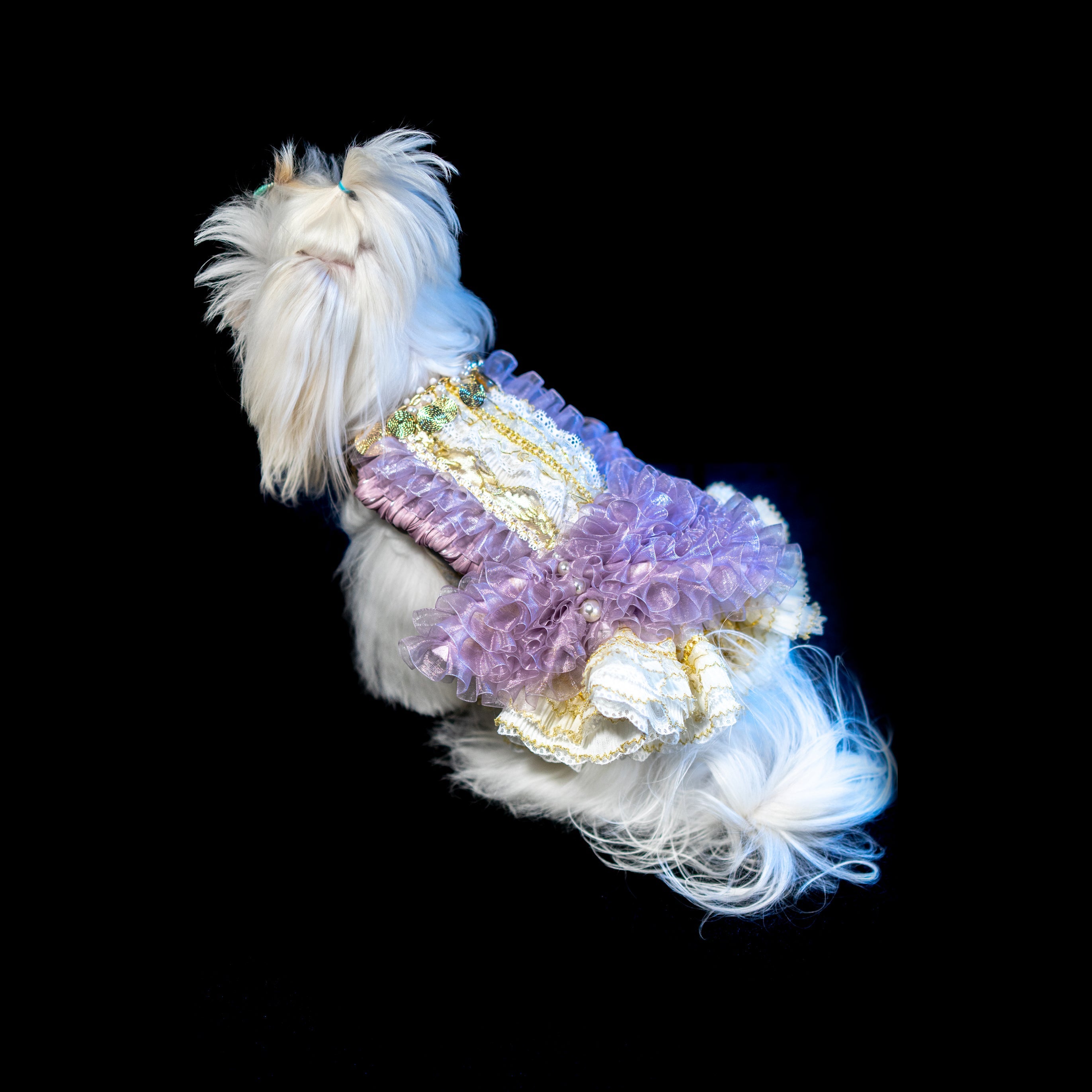 Gilded Paw Paw Darya Pet Dress