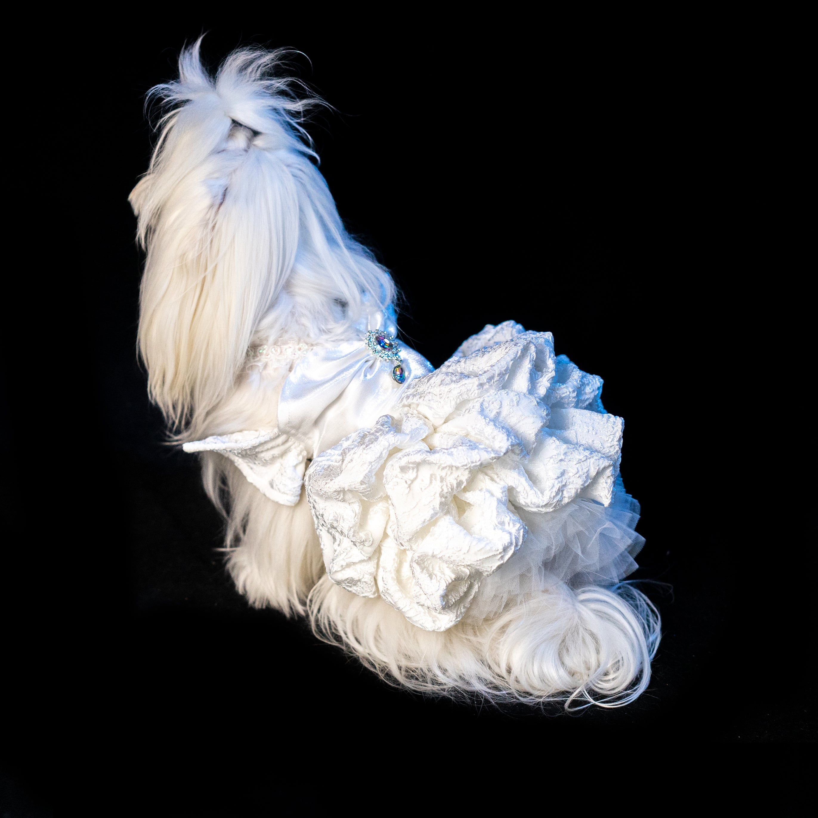 Gilded Paw Paw Tsuki Pet Dress