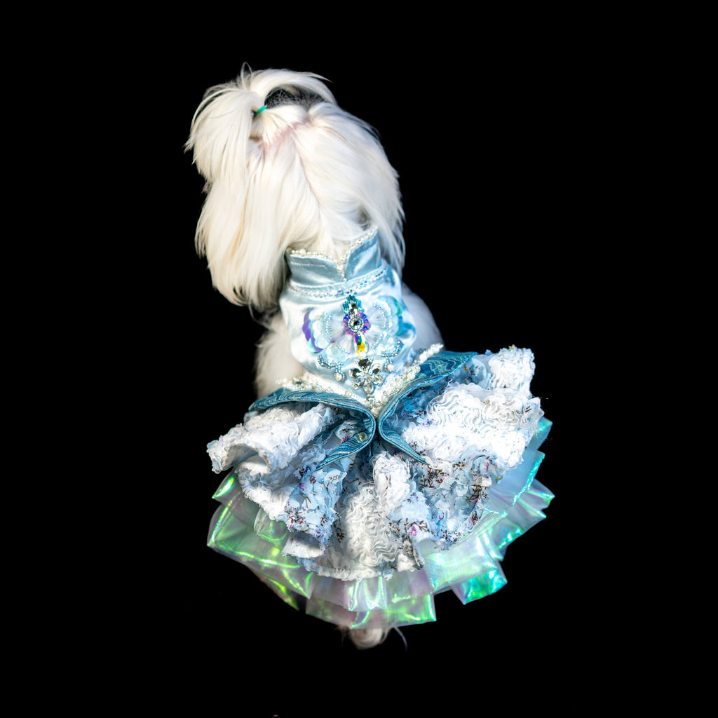 Gilded Paw Paw Springtime Pet Dress