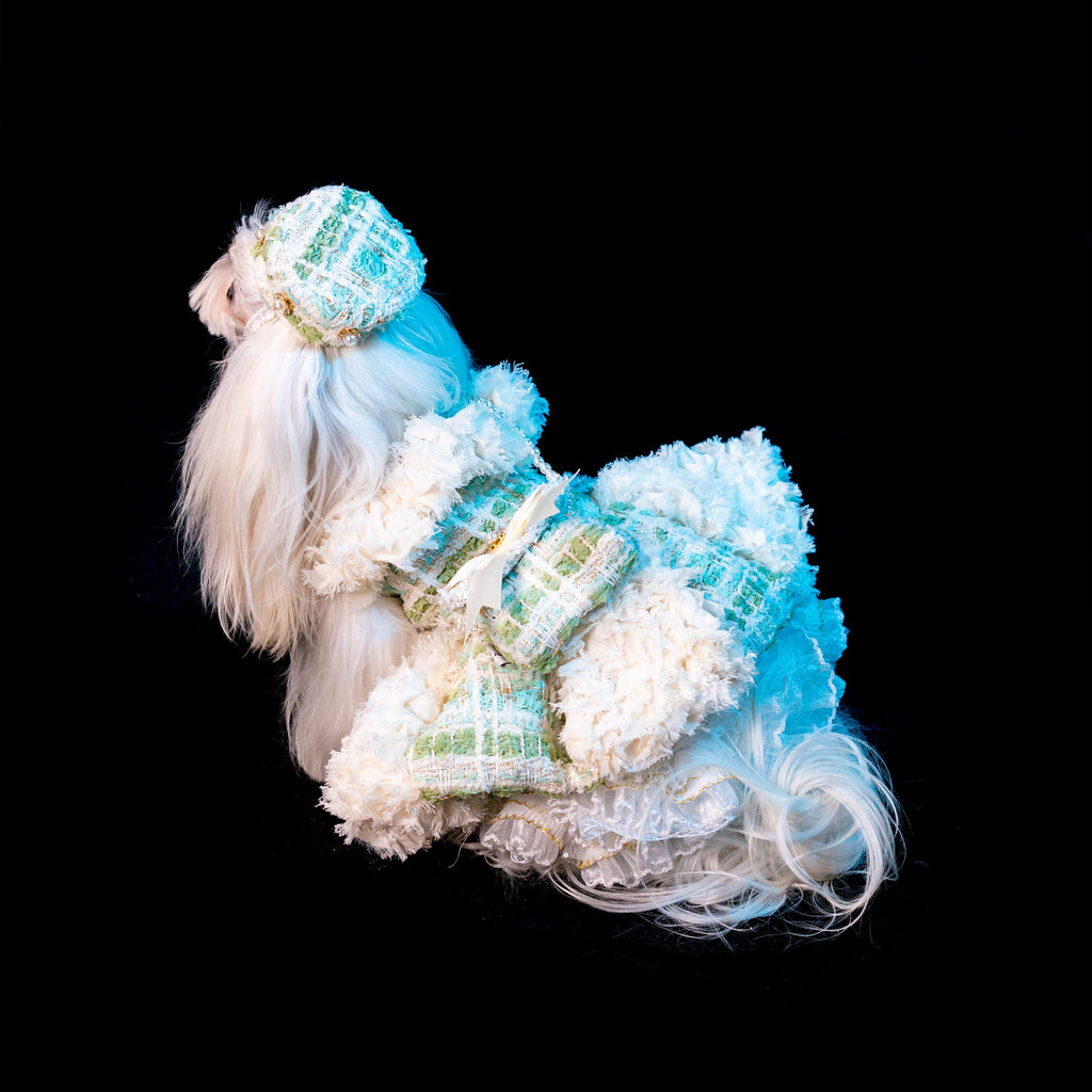 Gilded Paw Paw Verdant Harmony Pet Dress