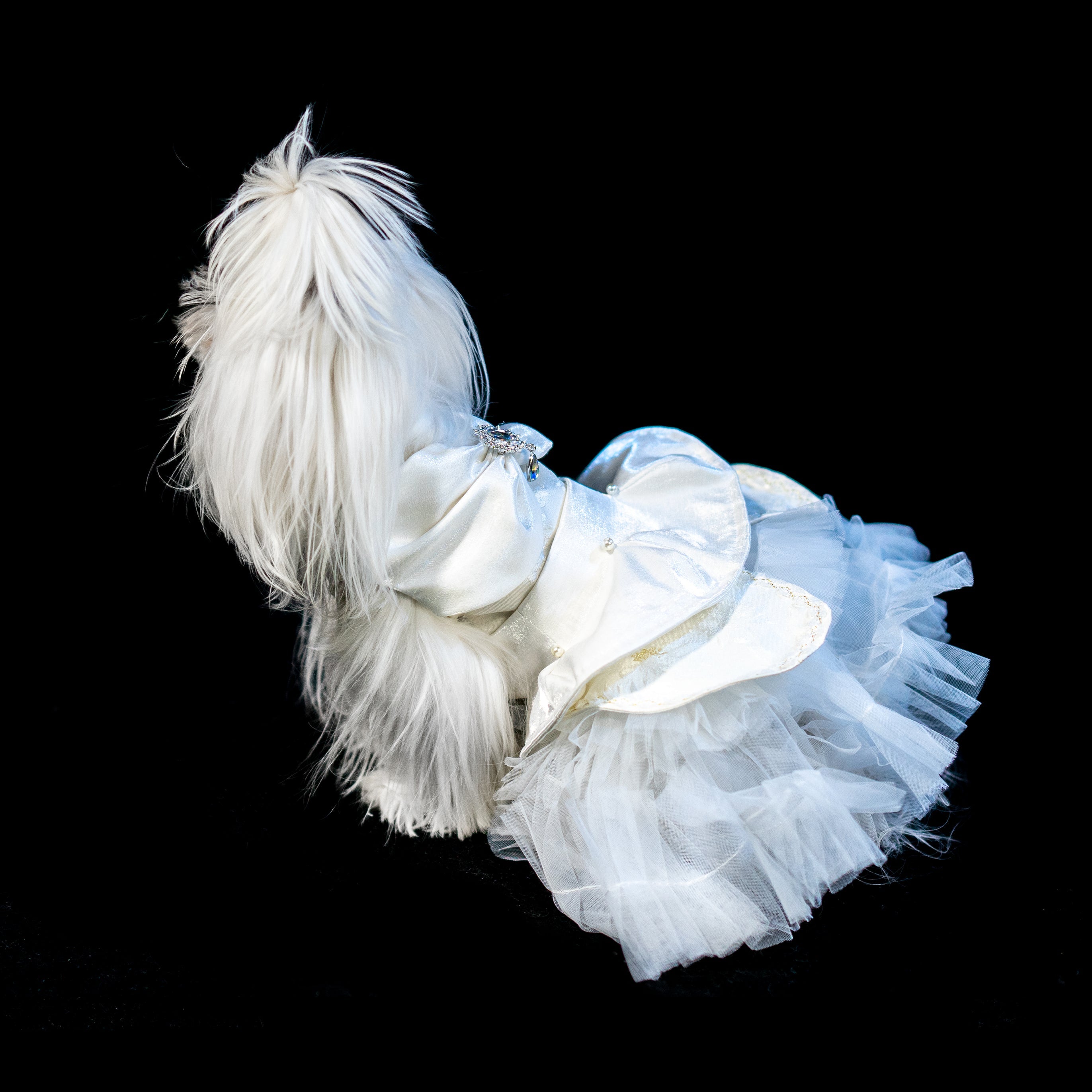 Gilded Paw Paw Lunar Nymph Pet Dress