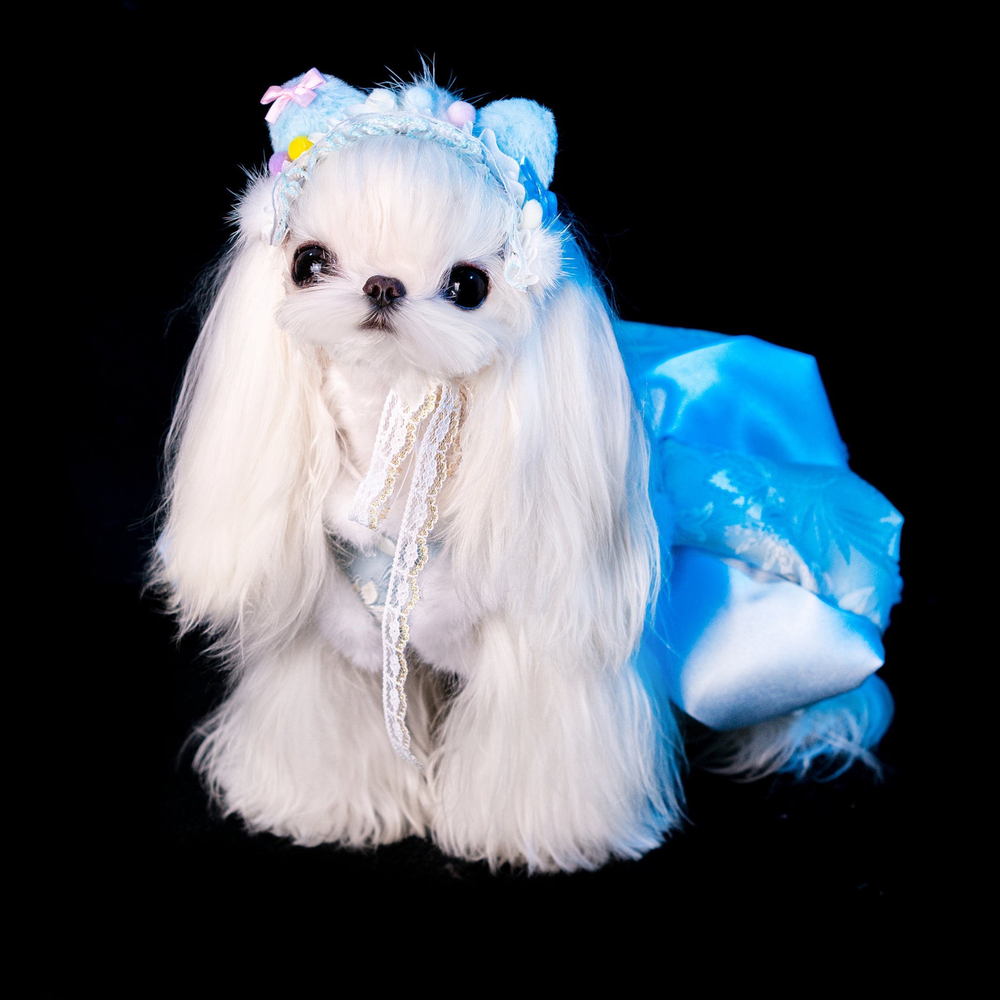 Gilded Paw Paw Misty Clouds Pet Dress