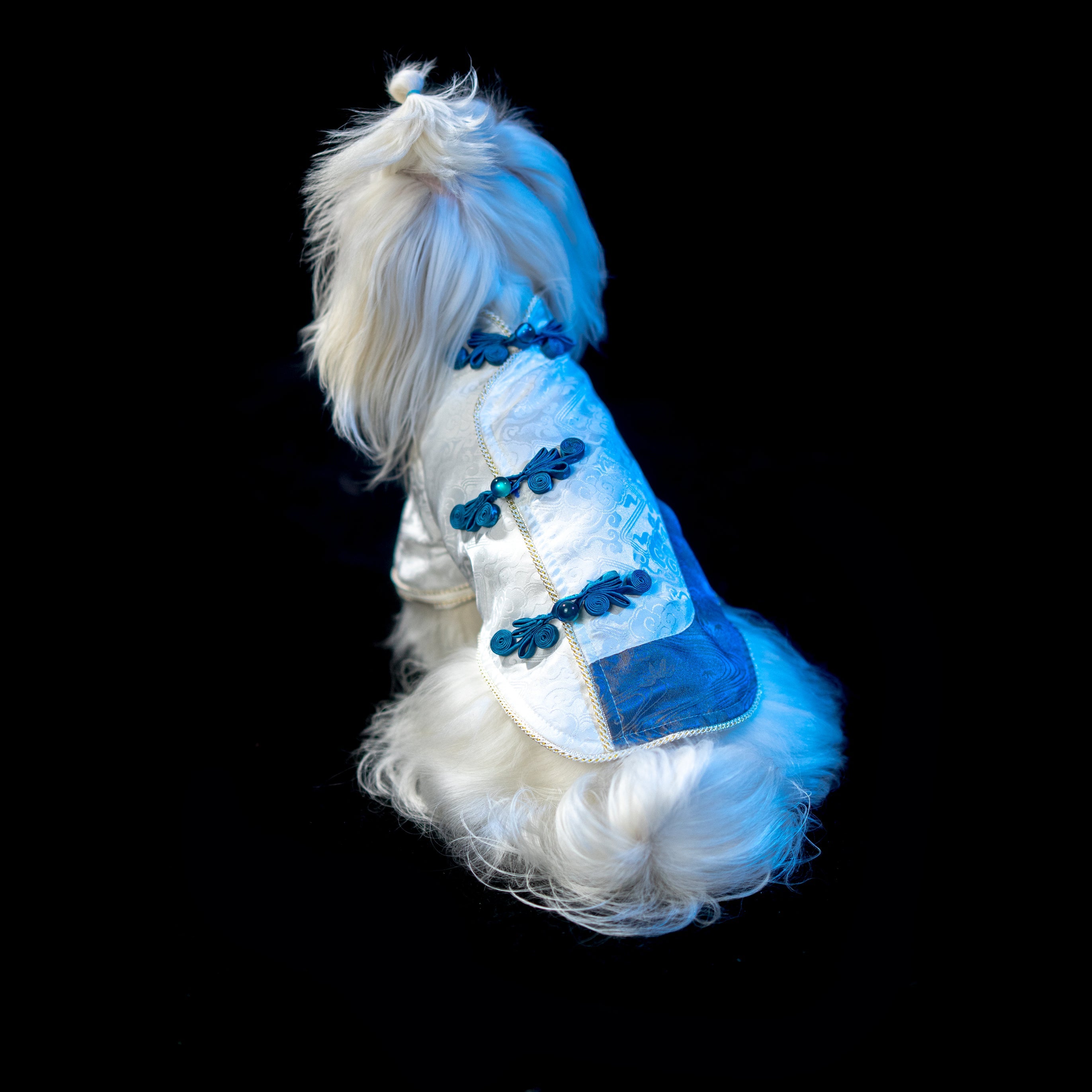 Gilded Paw Paw Moon Pet Shirt