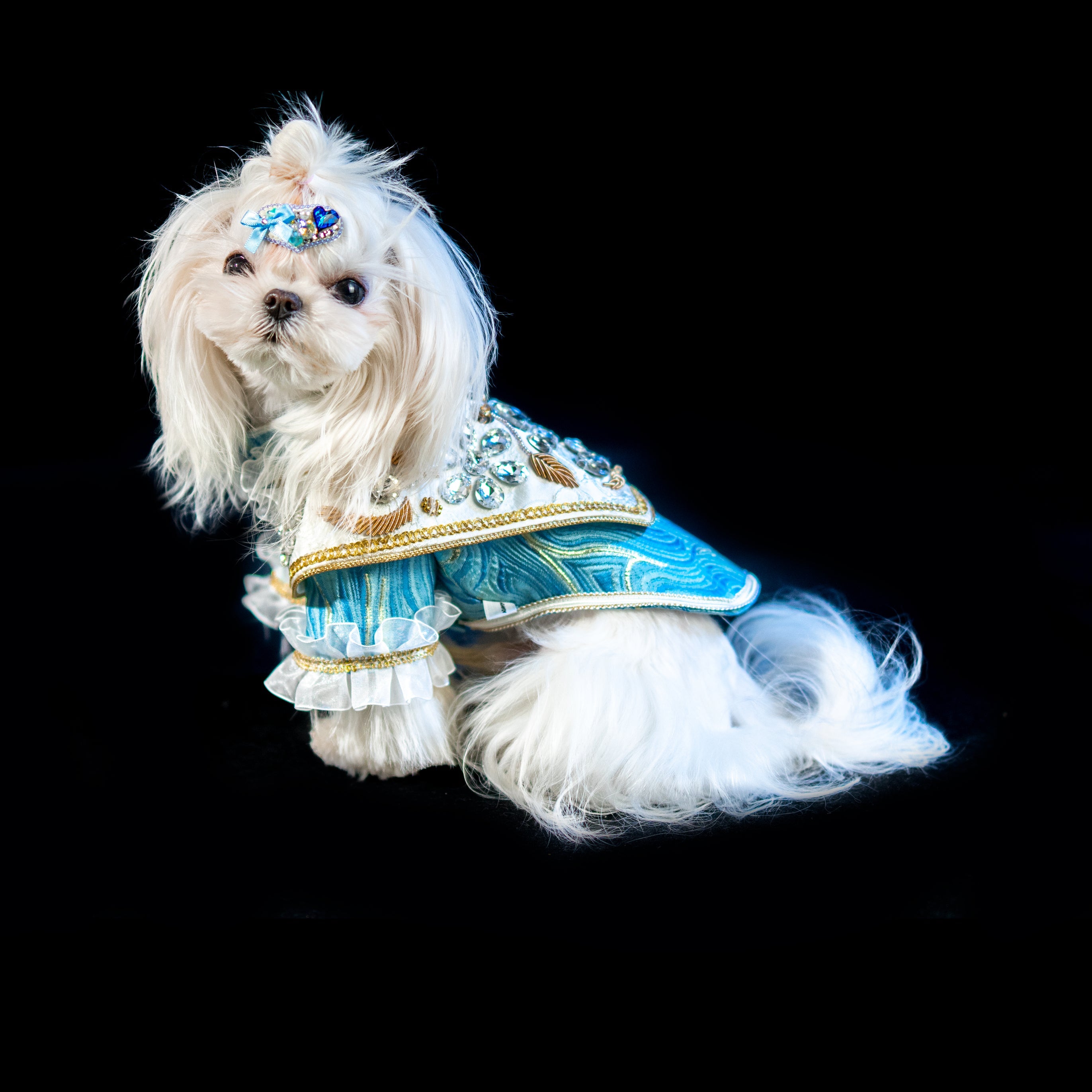 Gilded Paw Paw Arman Pet Gown