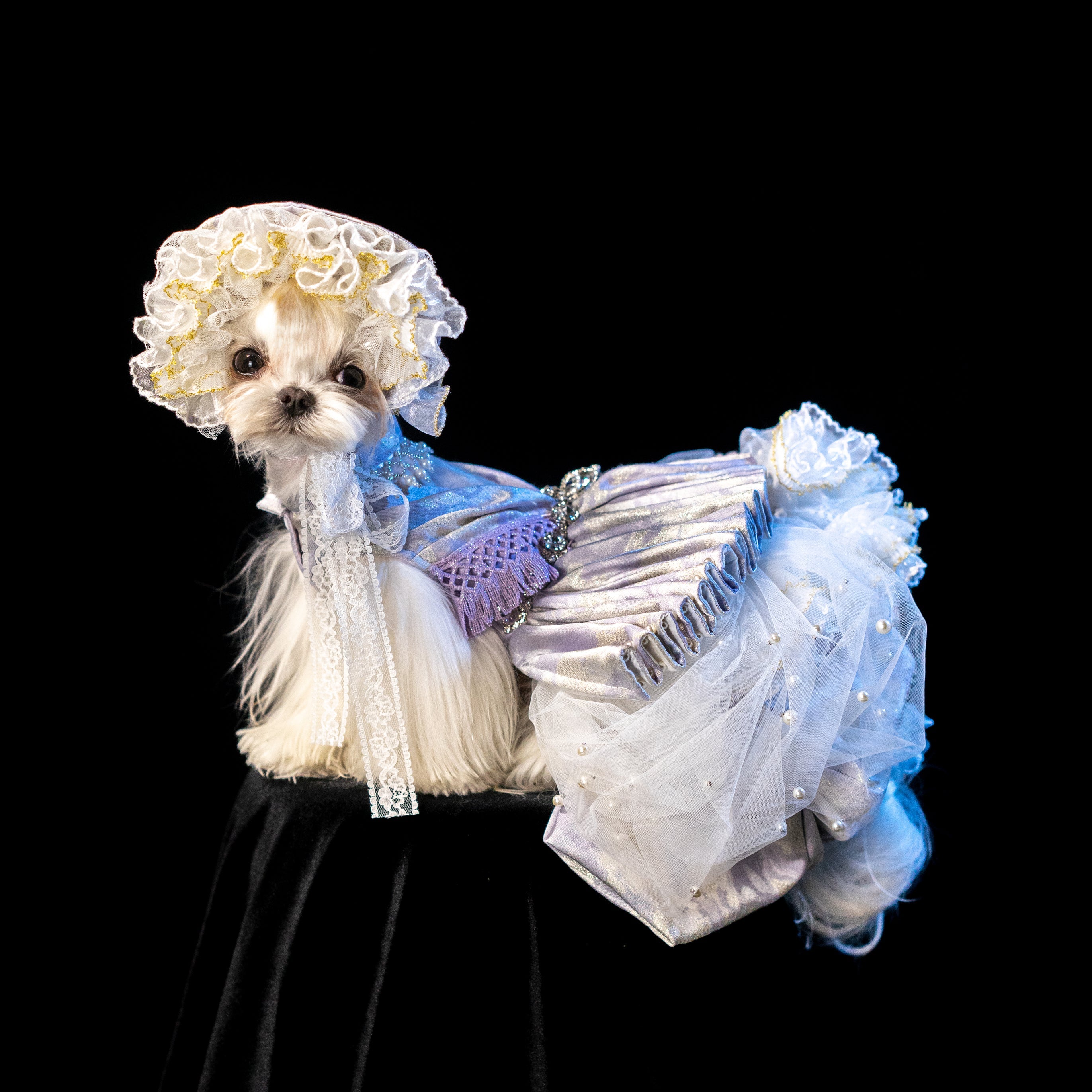 Gilded Paw Paw Elizabeth Pet Dress