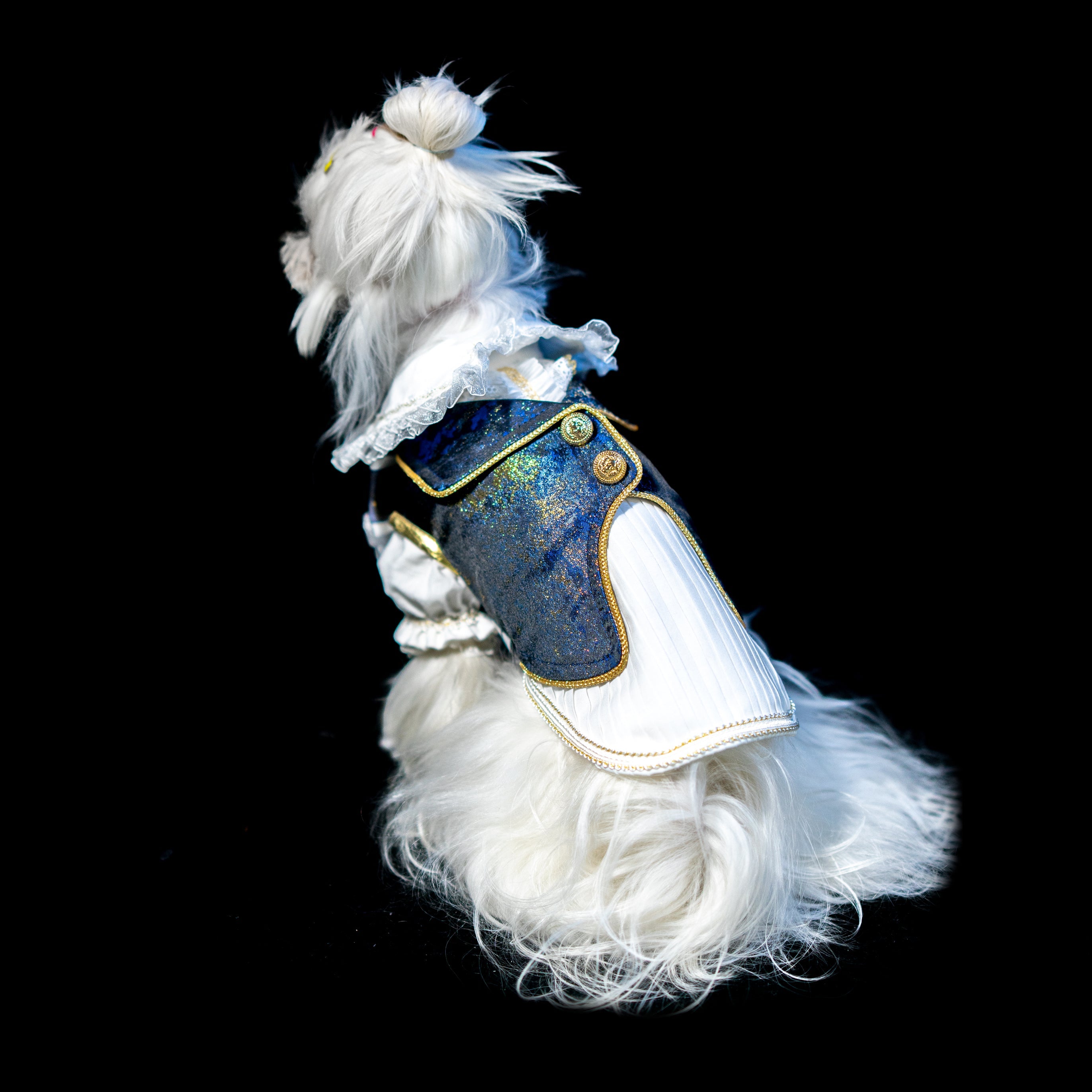 Gilded Paw Paw Aurelio Pet Dress