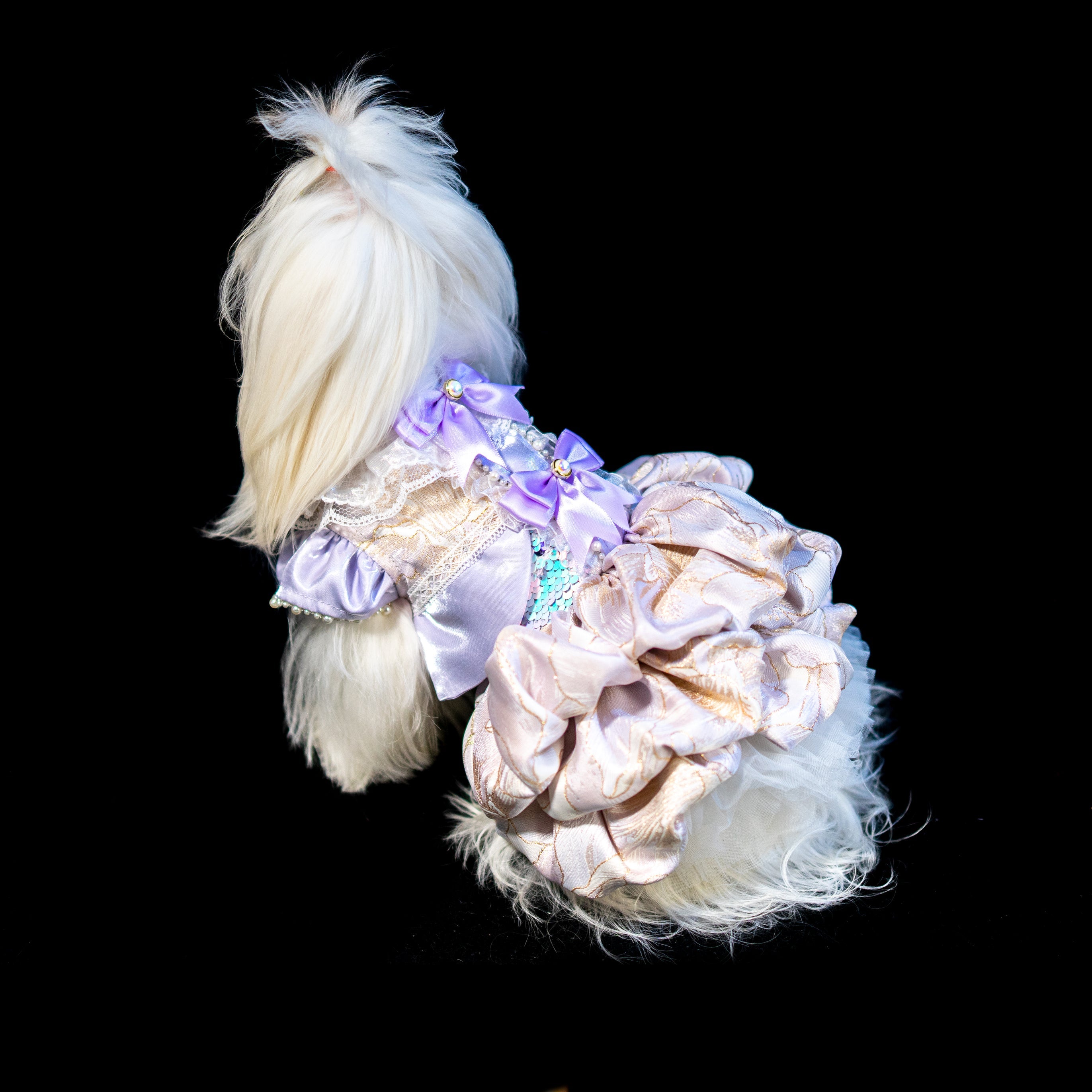 Gilded Paw Paw Beatrice Pet Dress