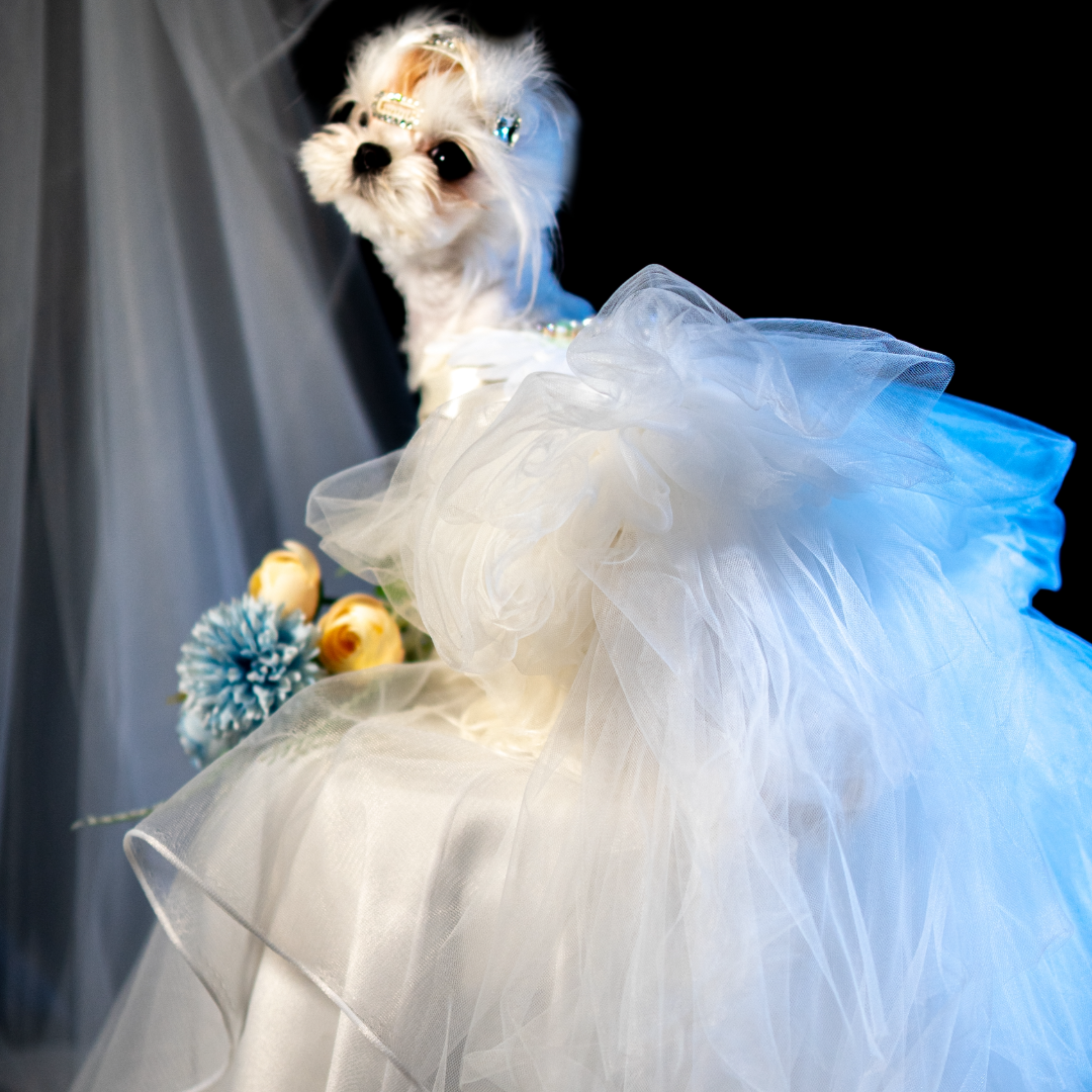Gilded Paw Paw Swan Pet Dress