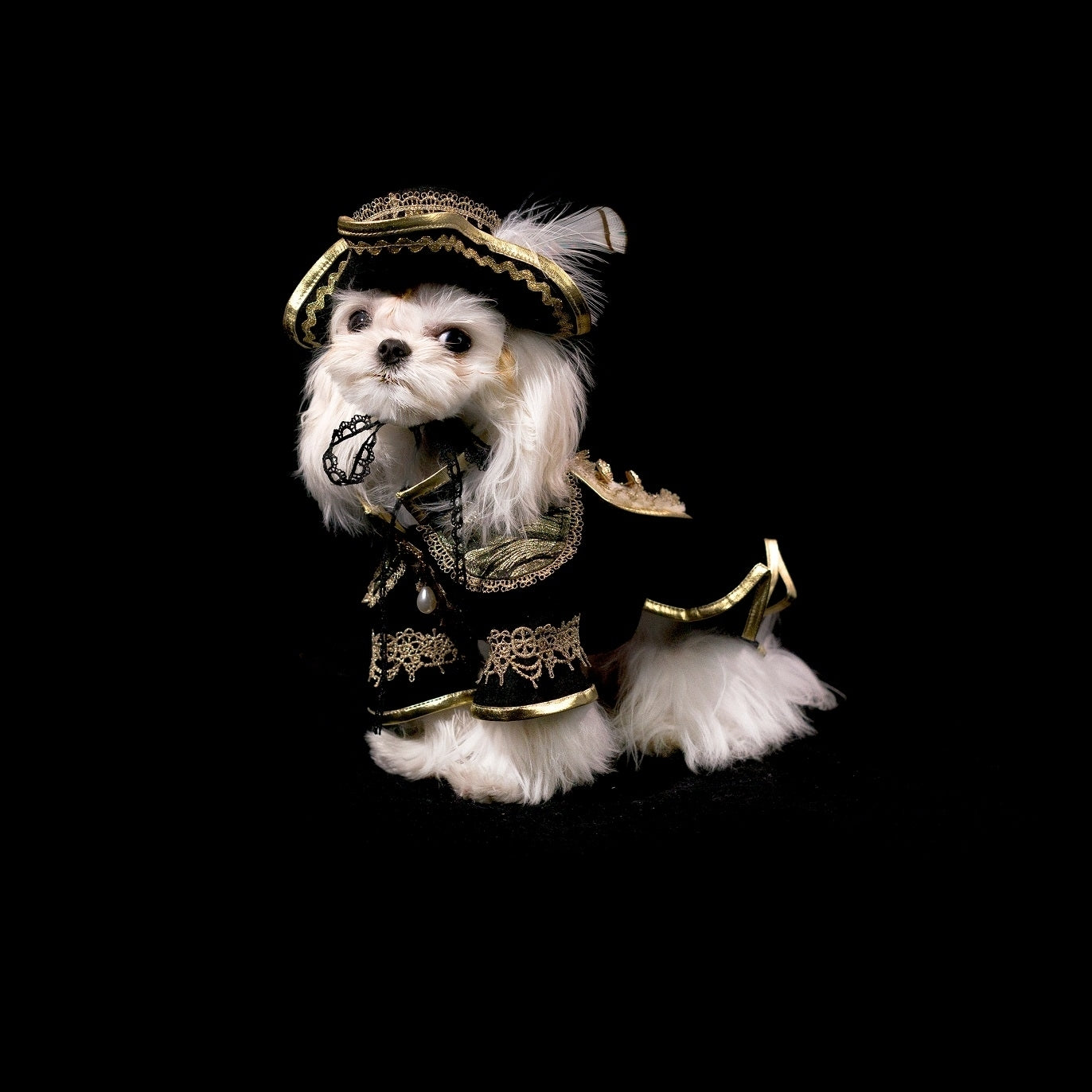 Gilded Paw Paw Dracula Pet Coat