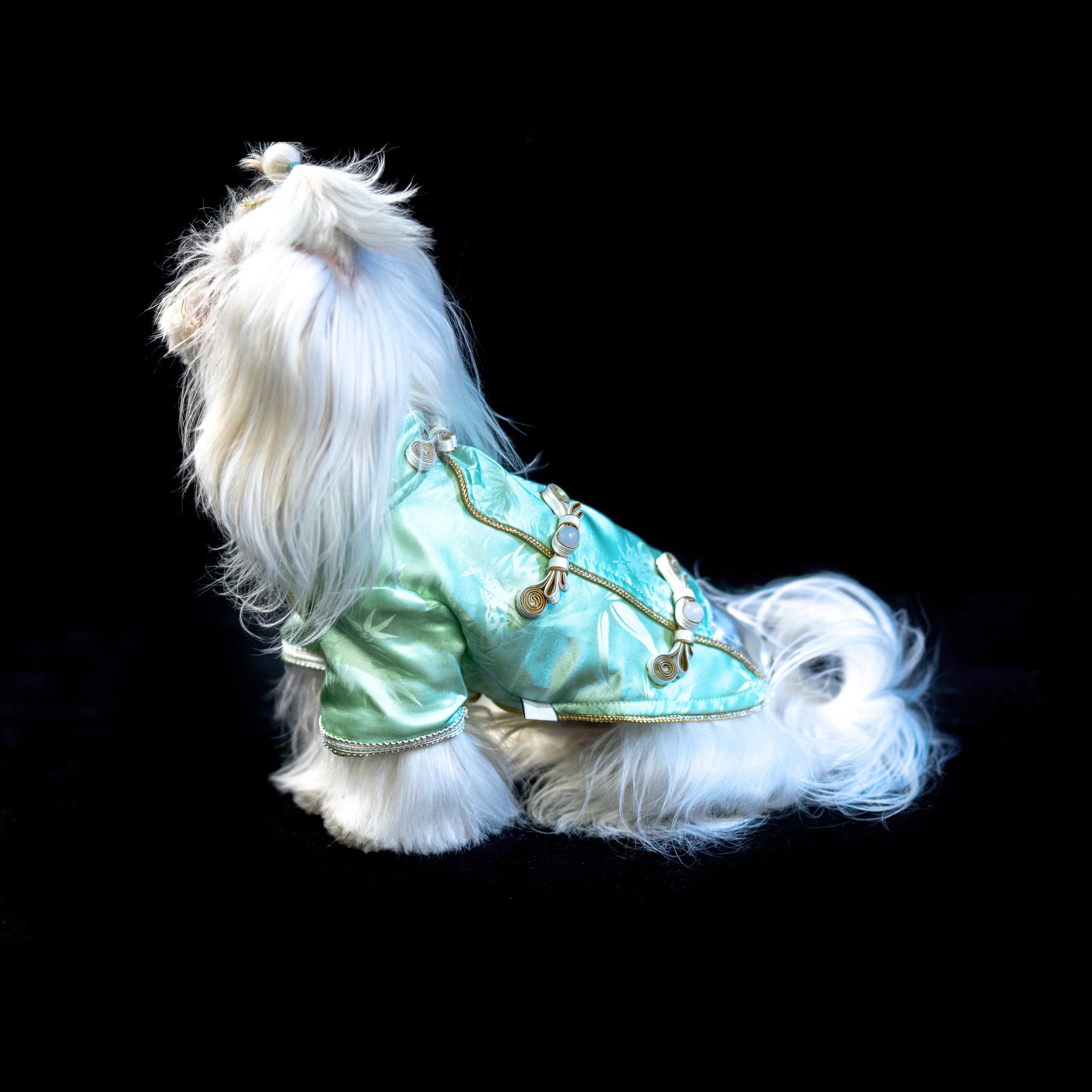 Gilded Paw Paw Verdant Revelry Pet Shirt