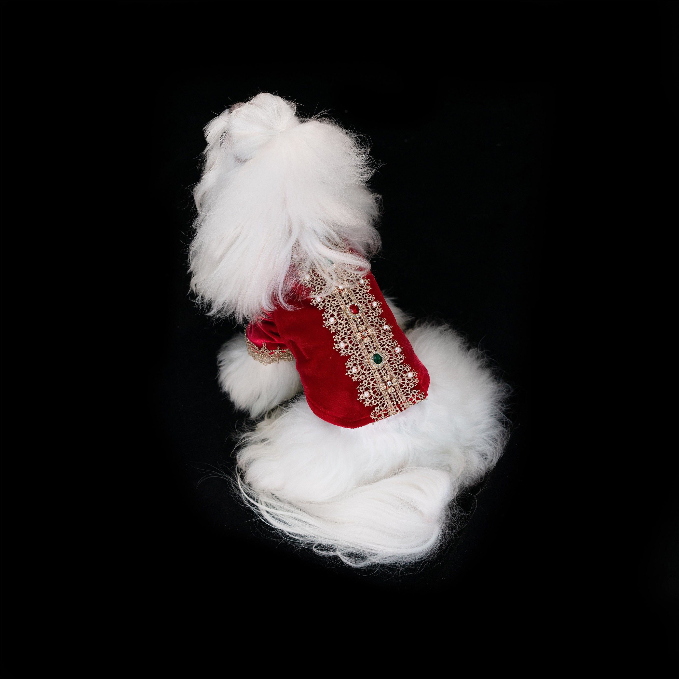 Gilded Paw Paw France·Red Pet Coat