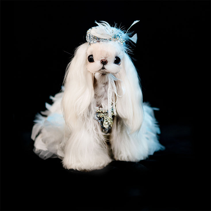 Gilded Paw Paw Aves in Flight Pet Dress