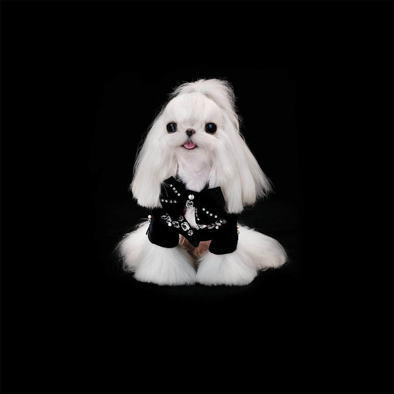 Gilded Paw Paw Cedric Pet Dress