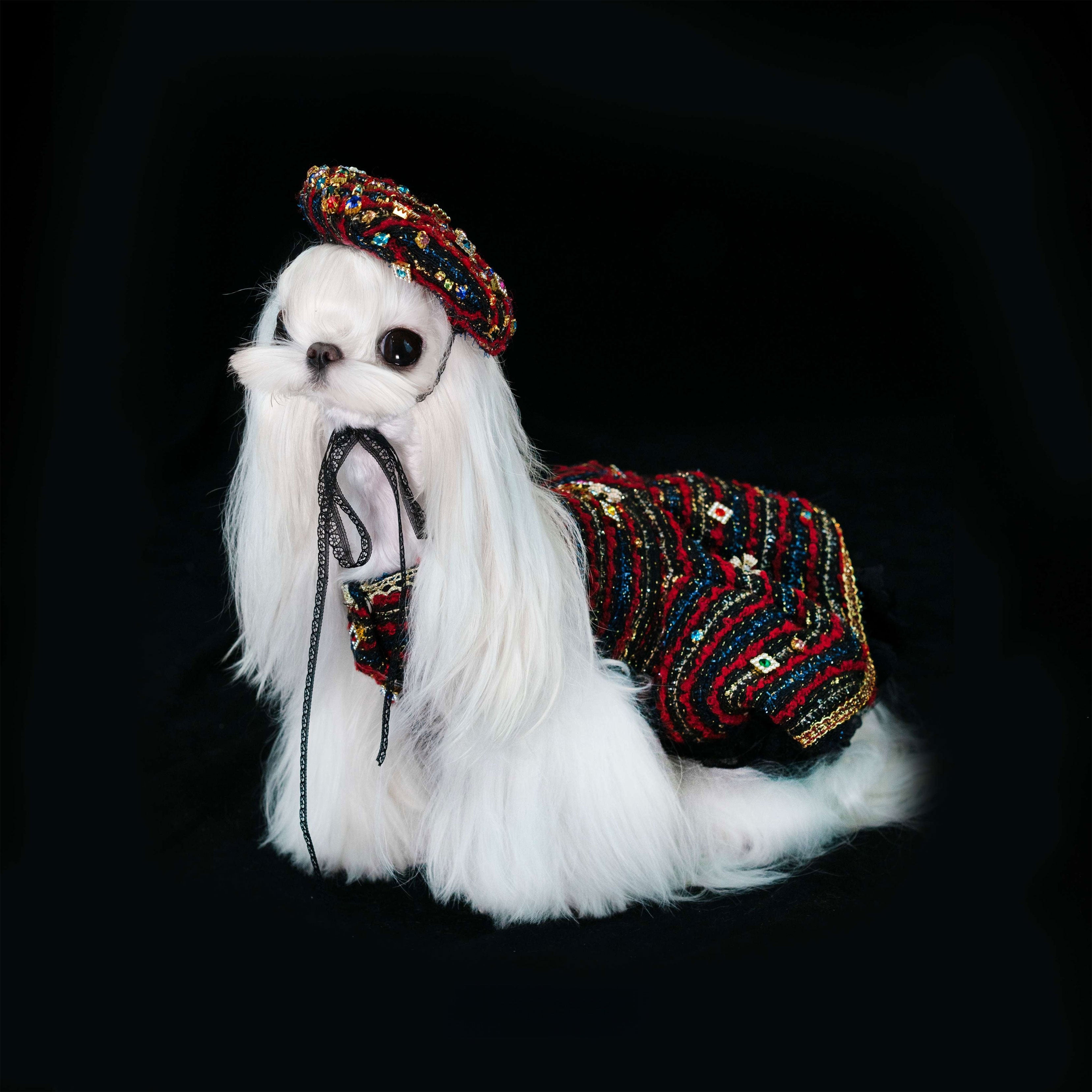 Gilded Paw Paw Baroque Enchantment Pet Dress