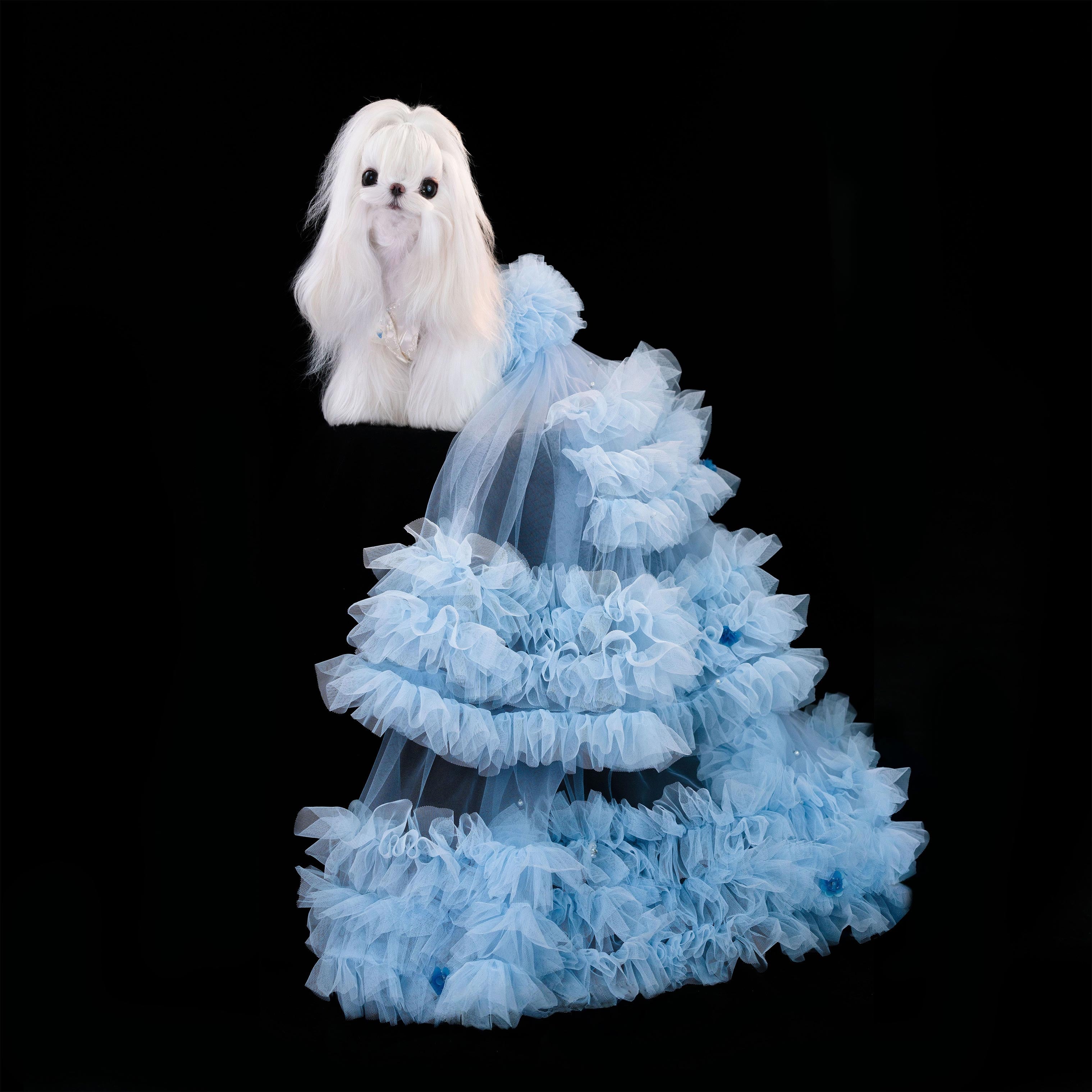 Gilded Paw Paw Deep Sea Odes Pet Dress