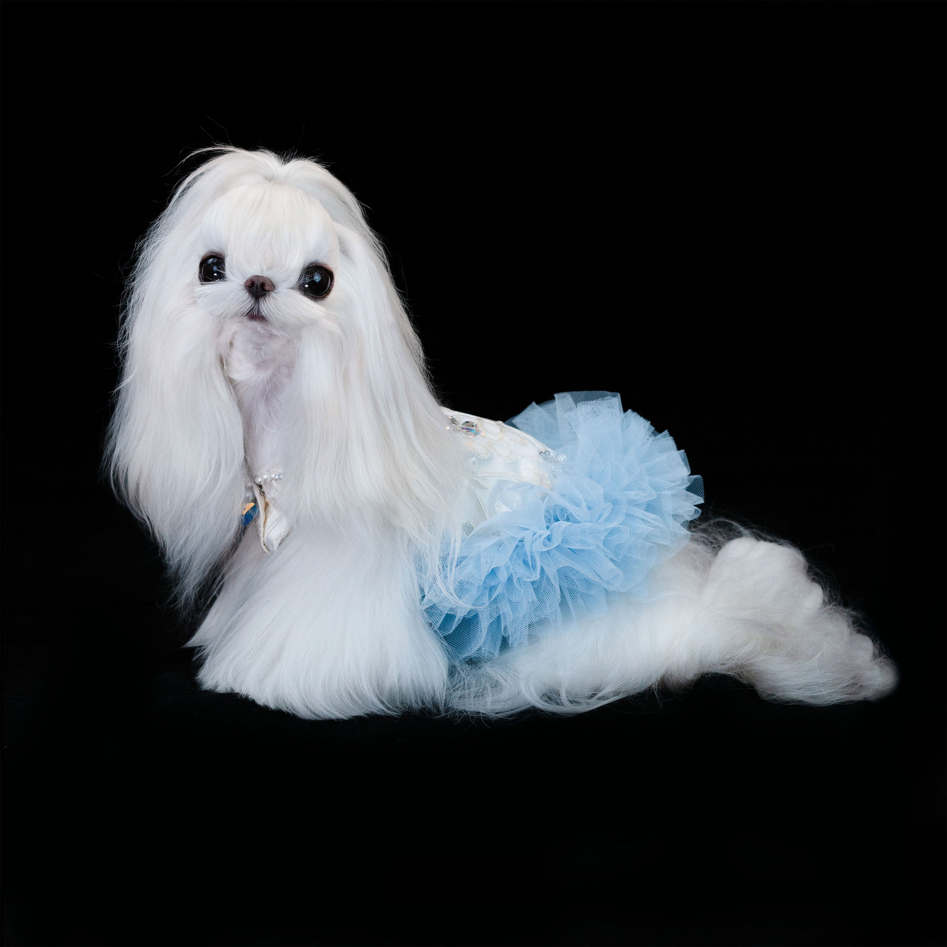 Gilded Paw Paw Deep Sea Odes Pet Dress