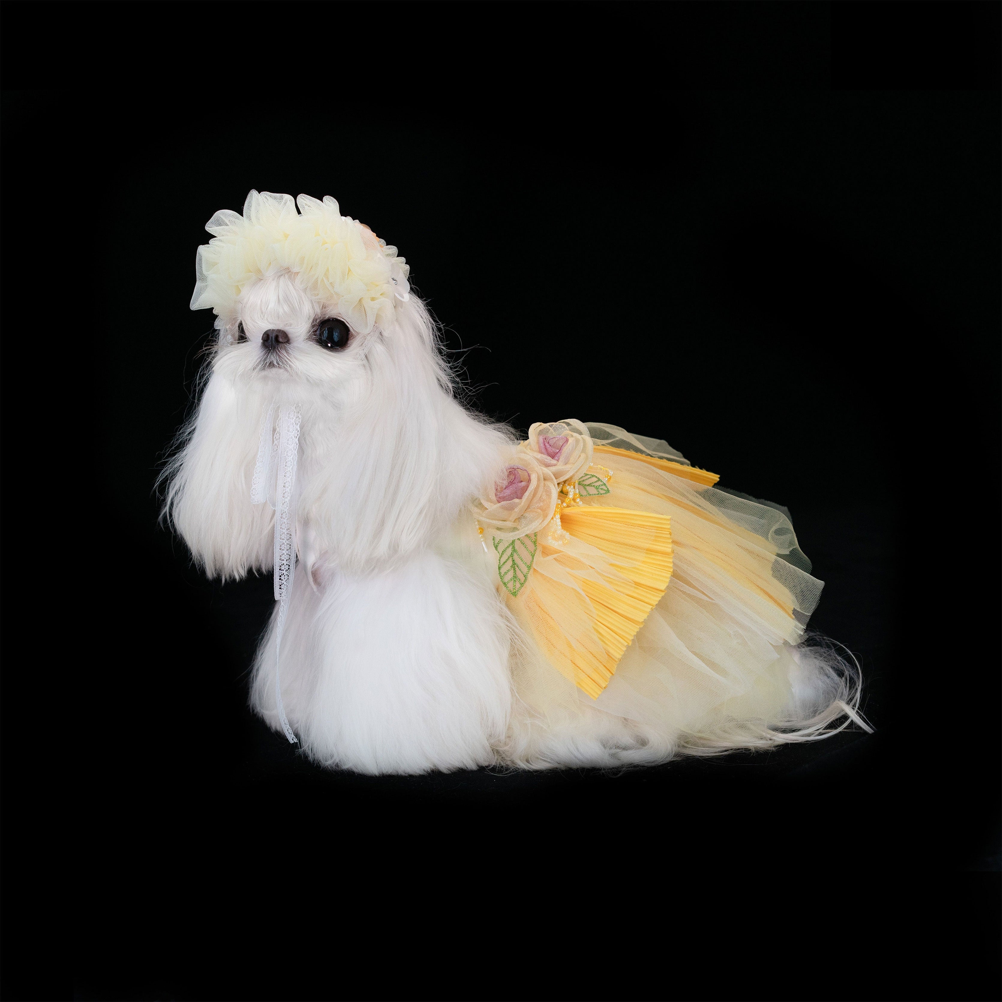 Gilded Paw Paw The Story of Roses Pet Dress