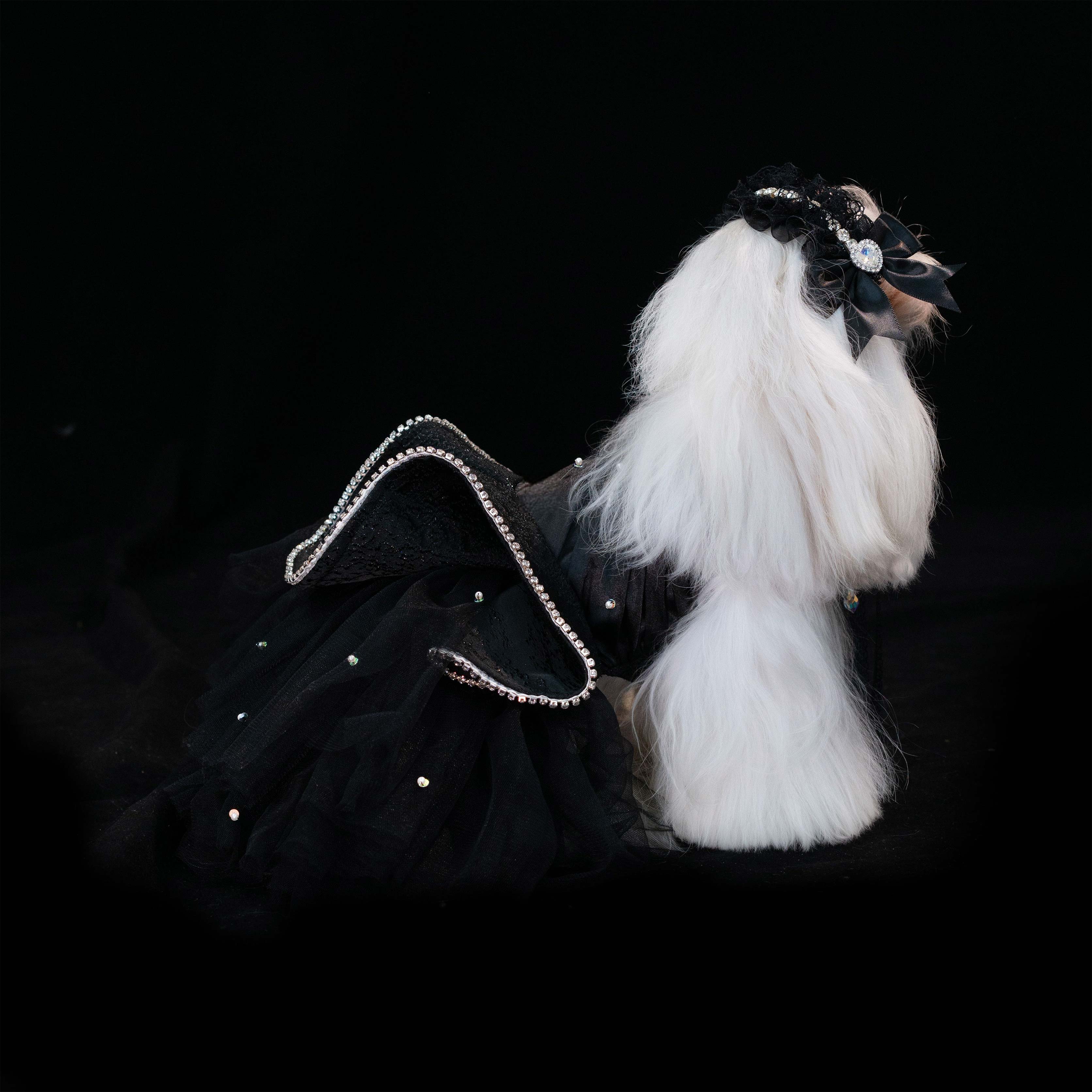 Gilded Paw Paw Veiled Wonderland Pet Dress