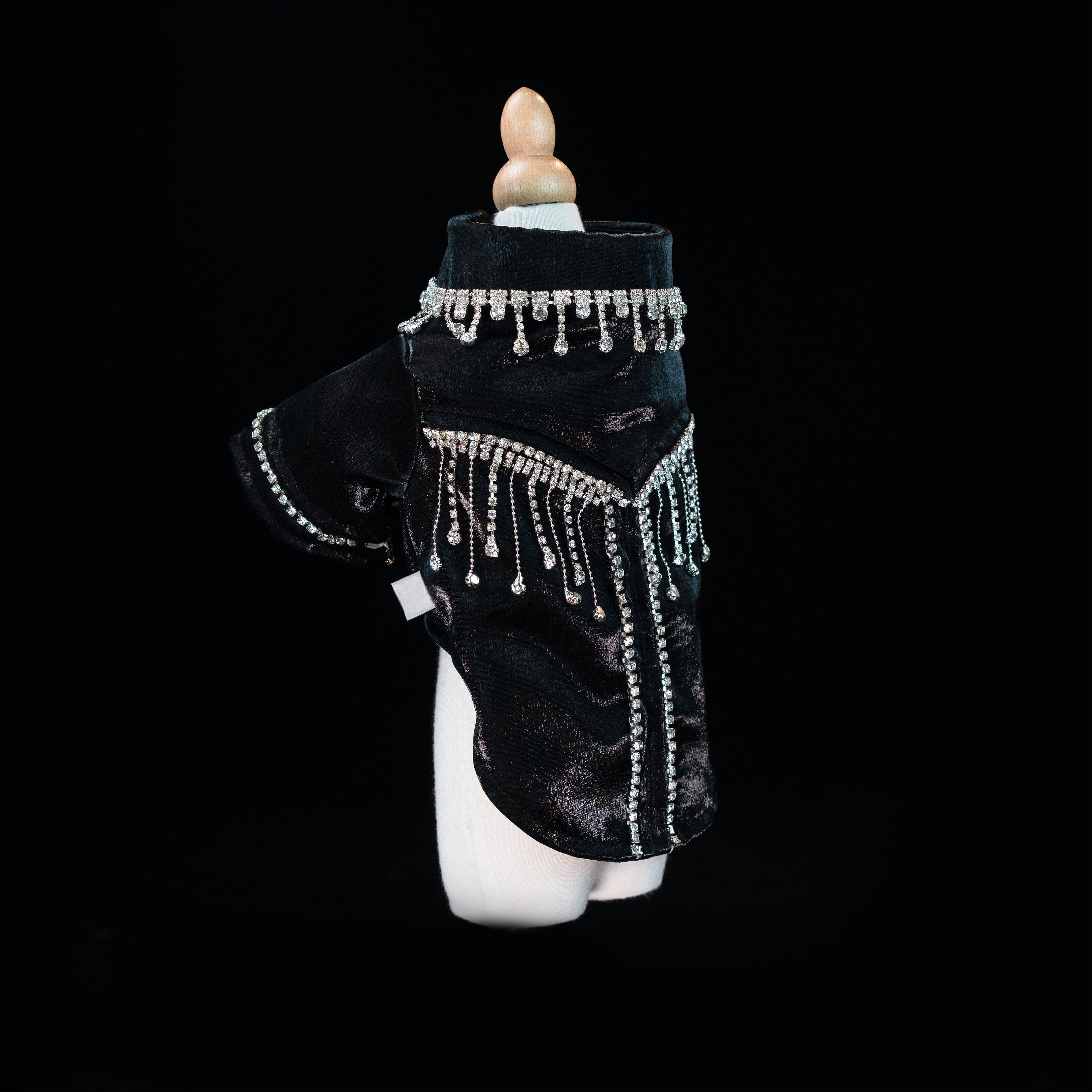 Gilded Paw Paw Galactic Overture Pet Coat