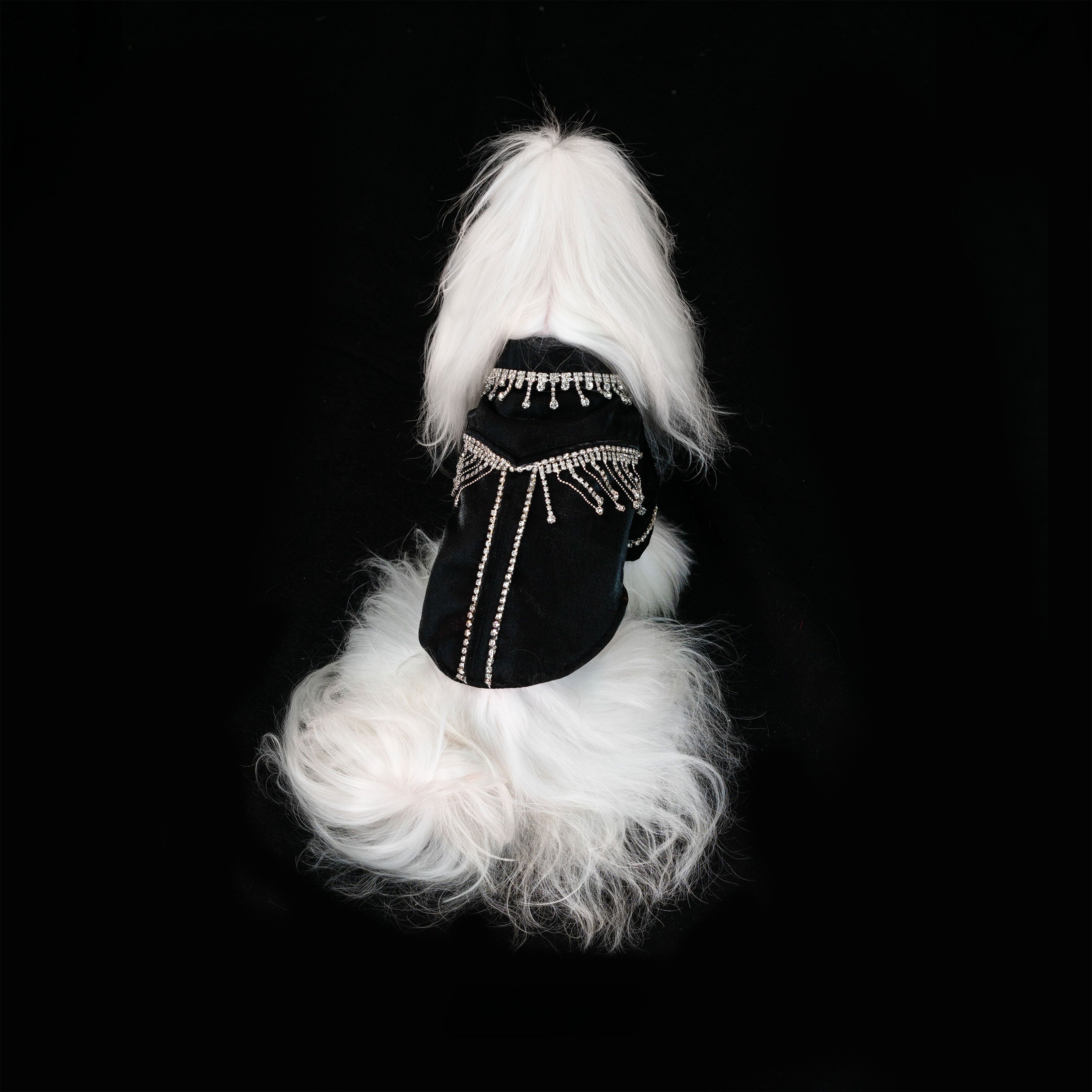 Gilded Paw Paw Galactic Overture Pet Coat