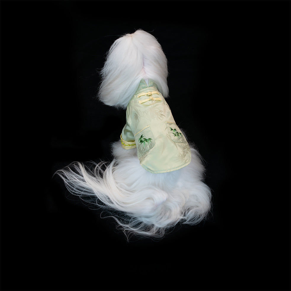 Gilded Paw Paw ICH Collection Bamboo Pet Shirt