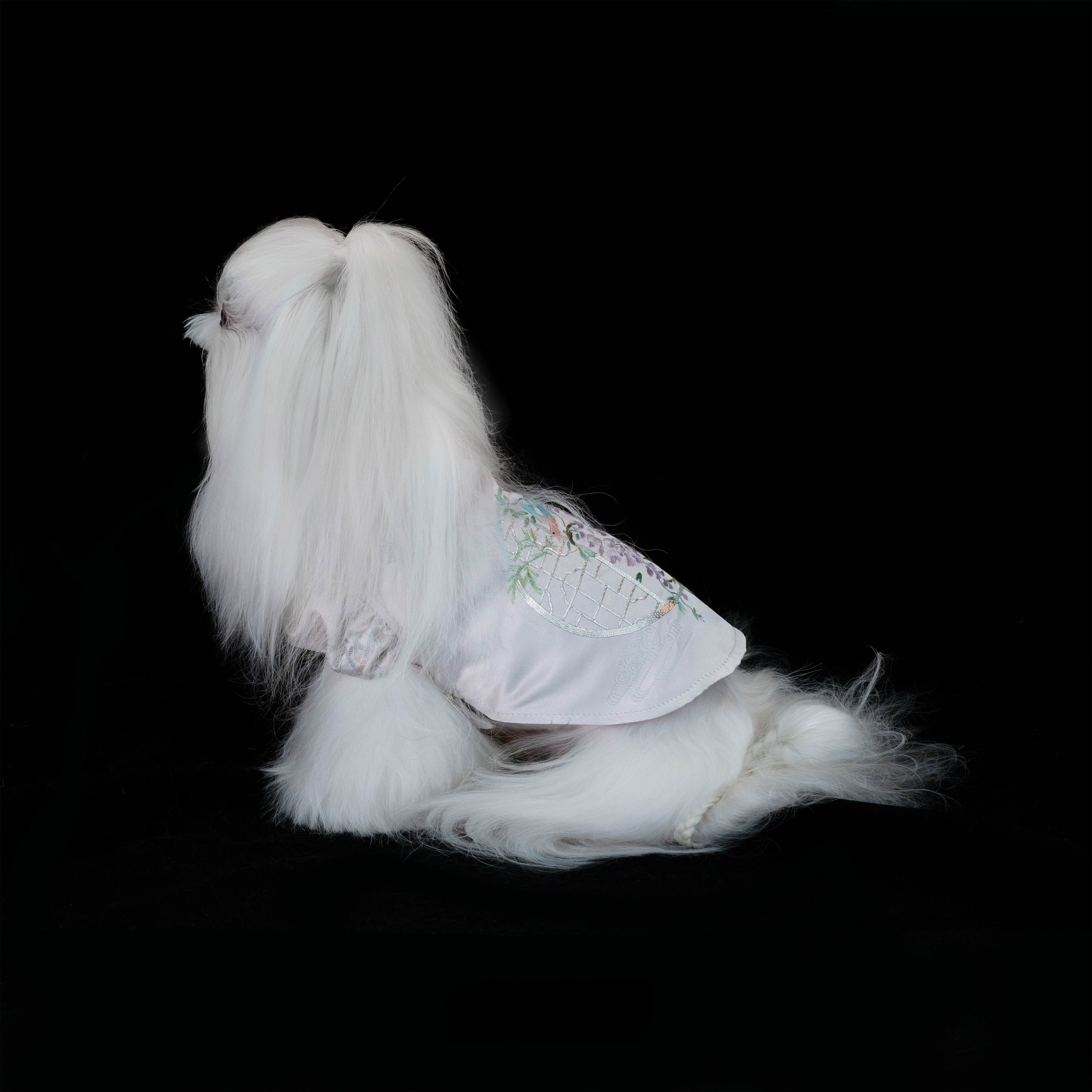 Gilded Paw Paw ICH Collection Framed Bloom Pet Shirt