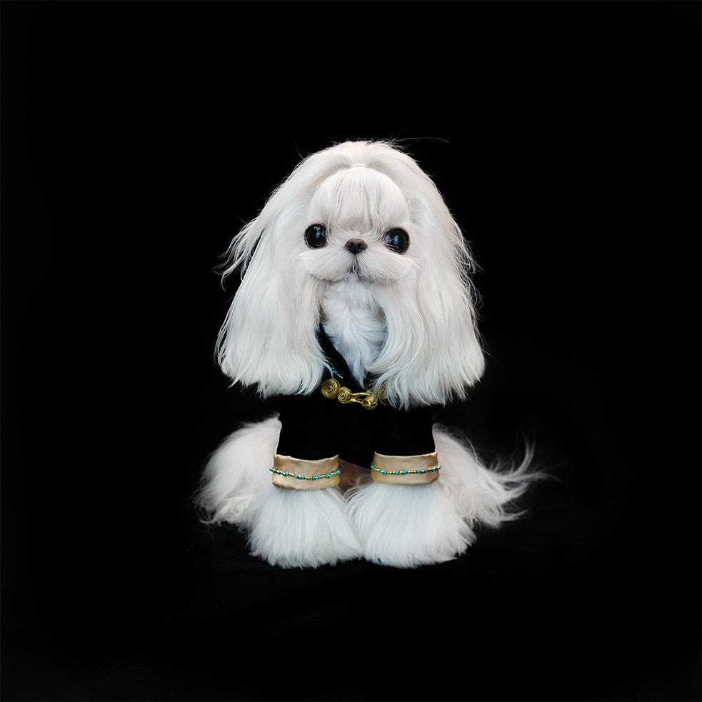 Gilded Paw Paw ICH Collection Dragon Pet Shirt