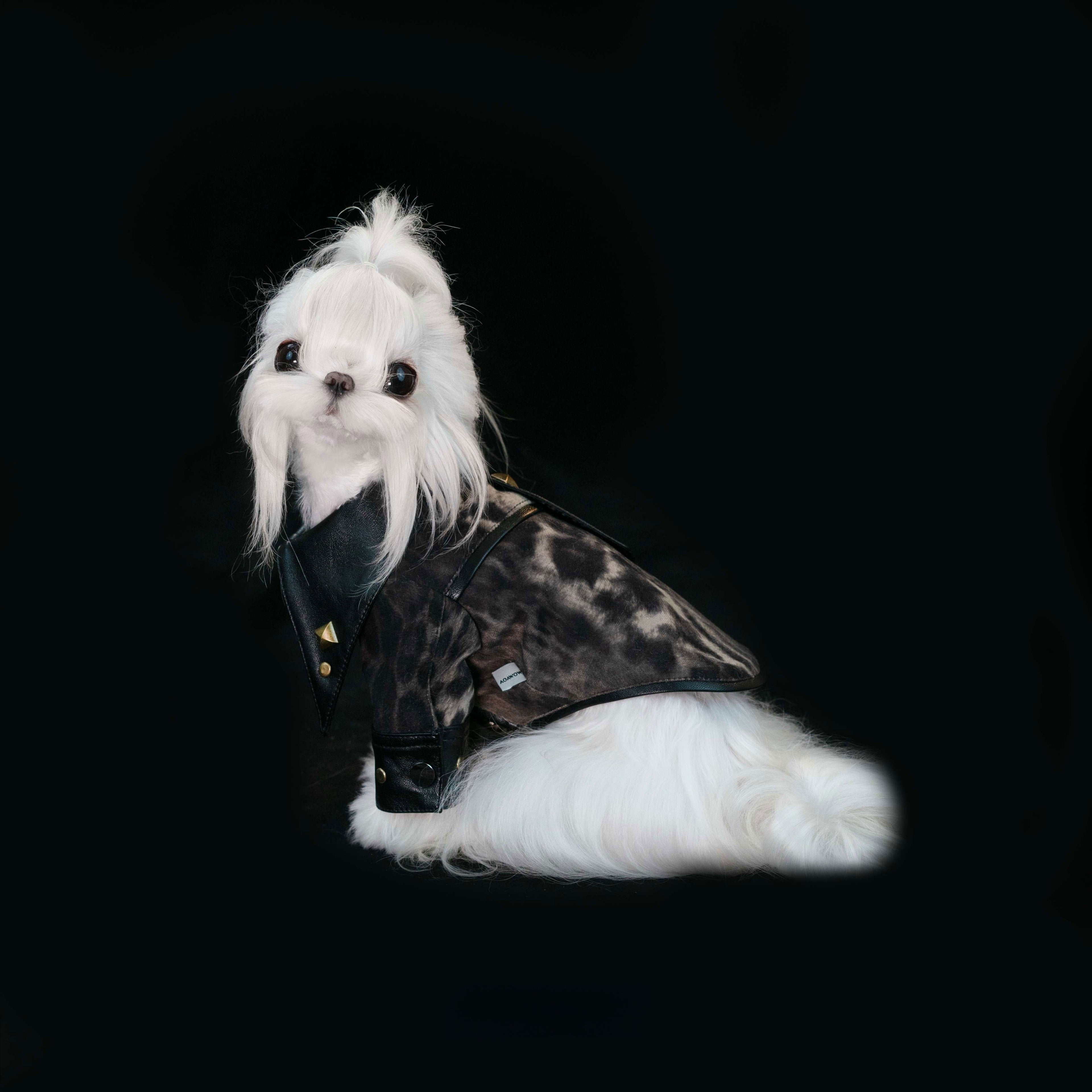 Gilded Paw Paw London Story Pet Shirt