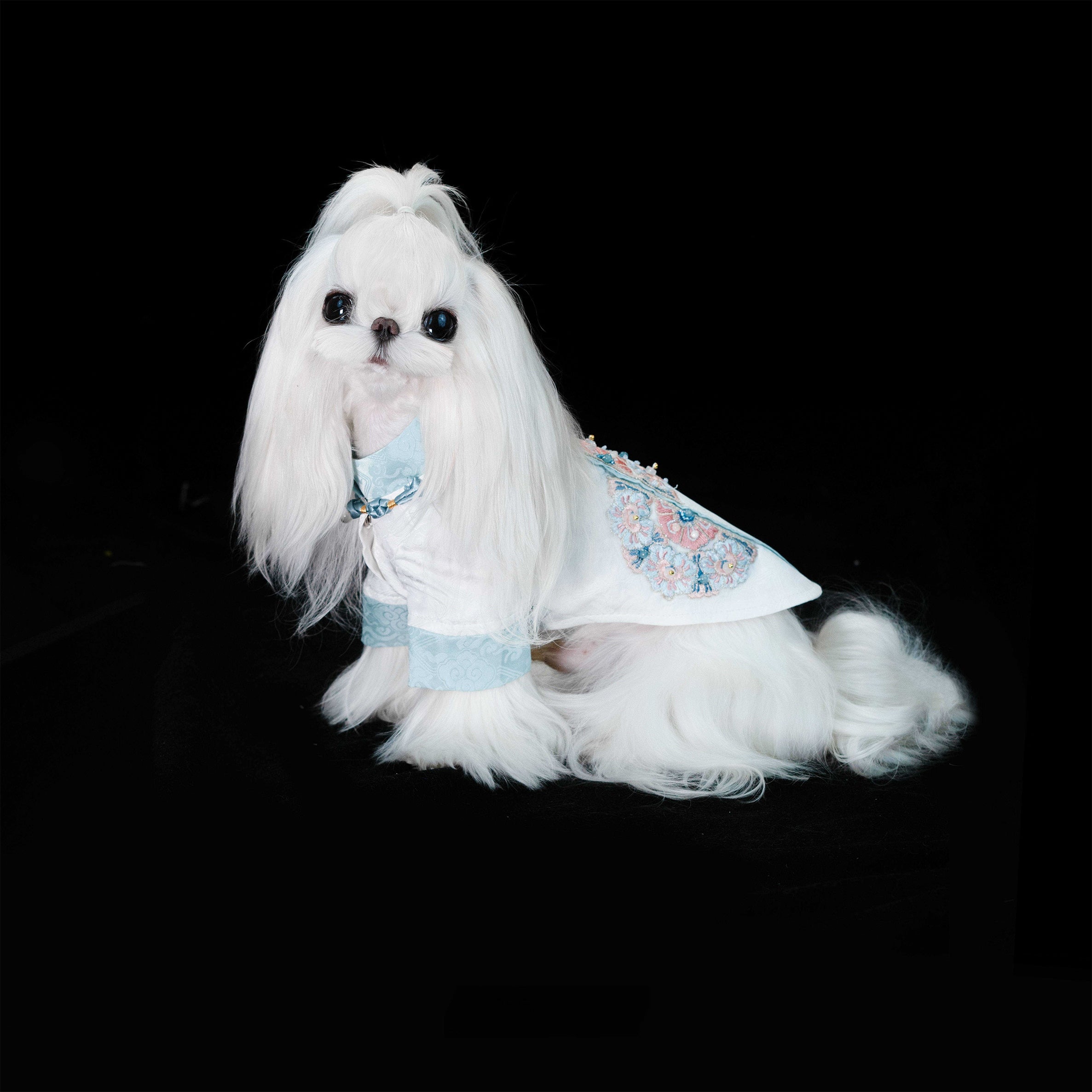 Gilded Paw Paw Underbridge Ripples Pet Shirt