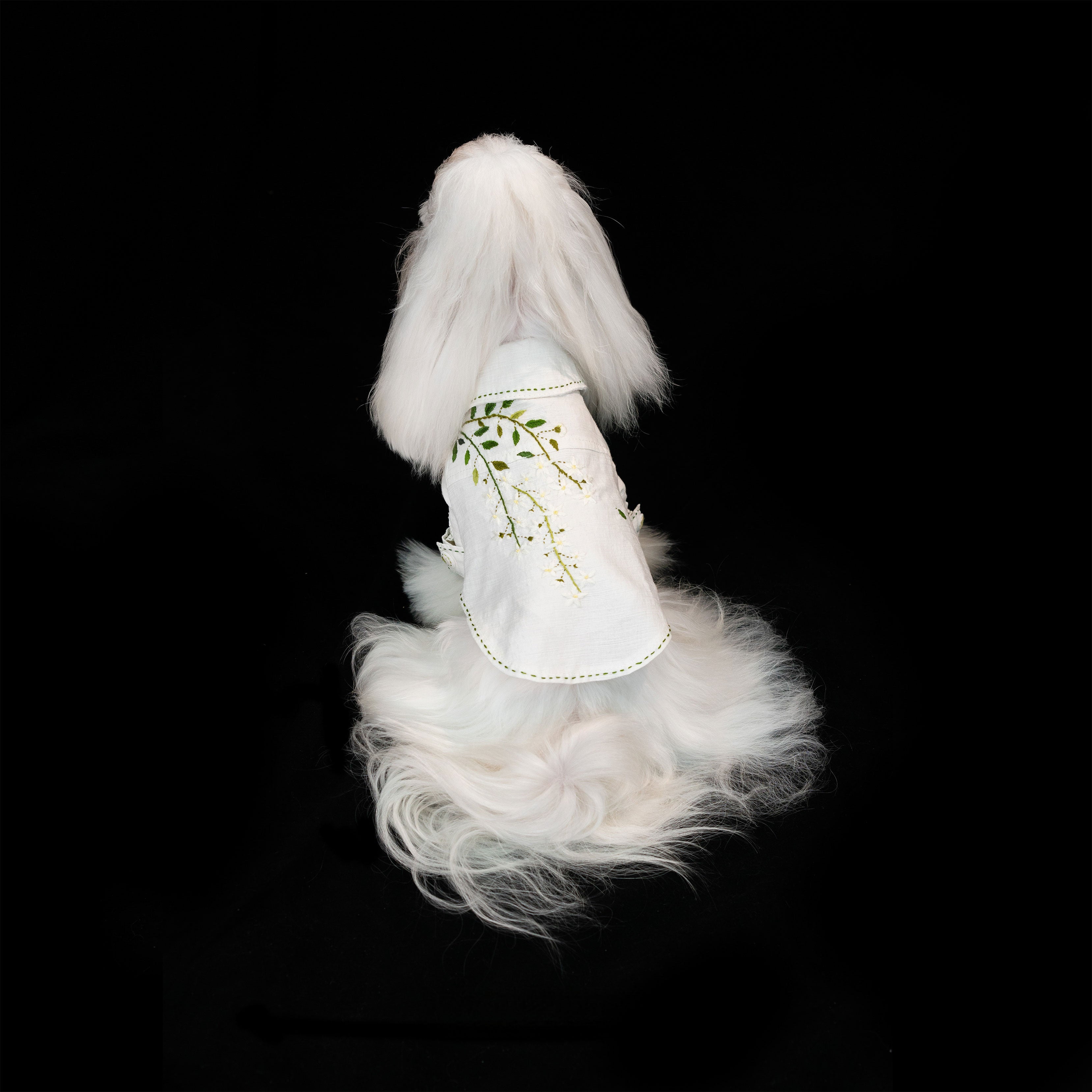 Gilded Paw Paw Jasmine Adolescence Pet Shirt