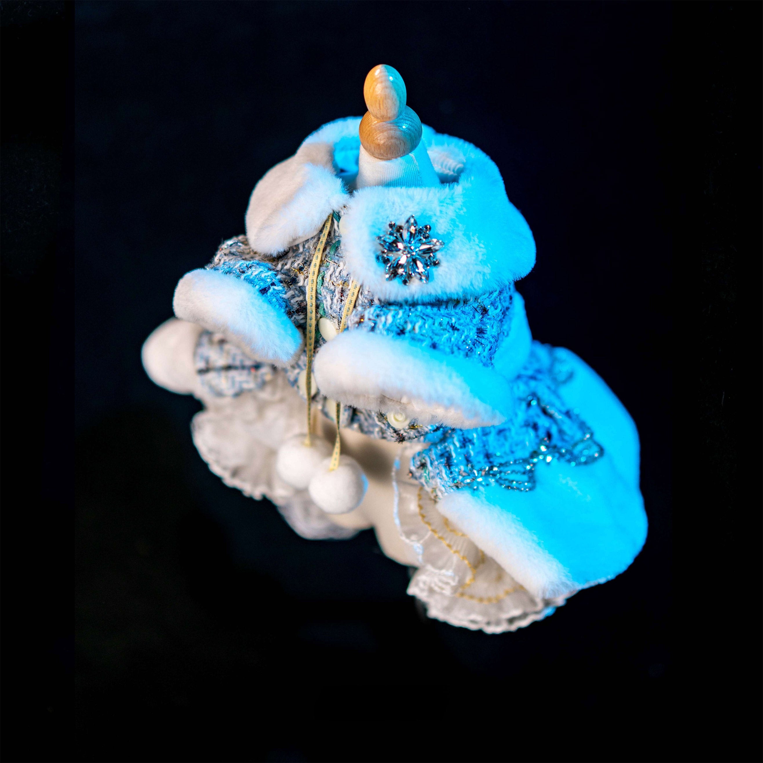 Gilded Paw Paw Arctic Voyage Pet Dress