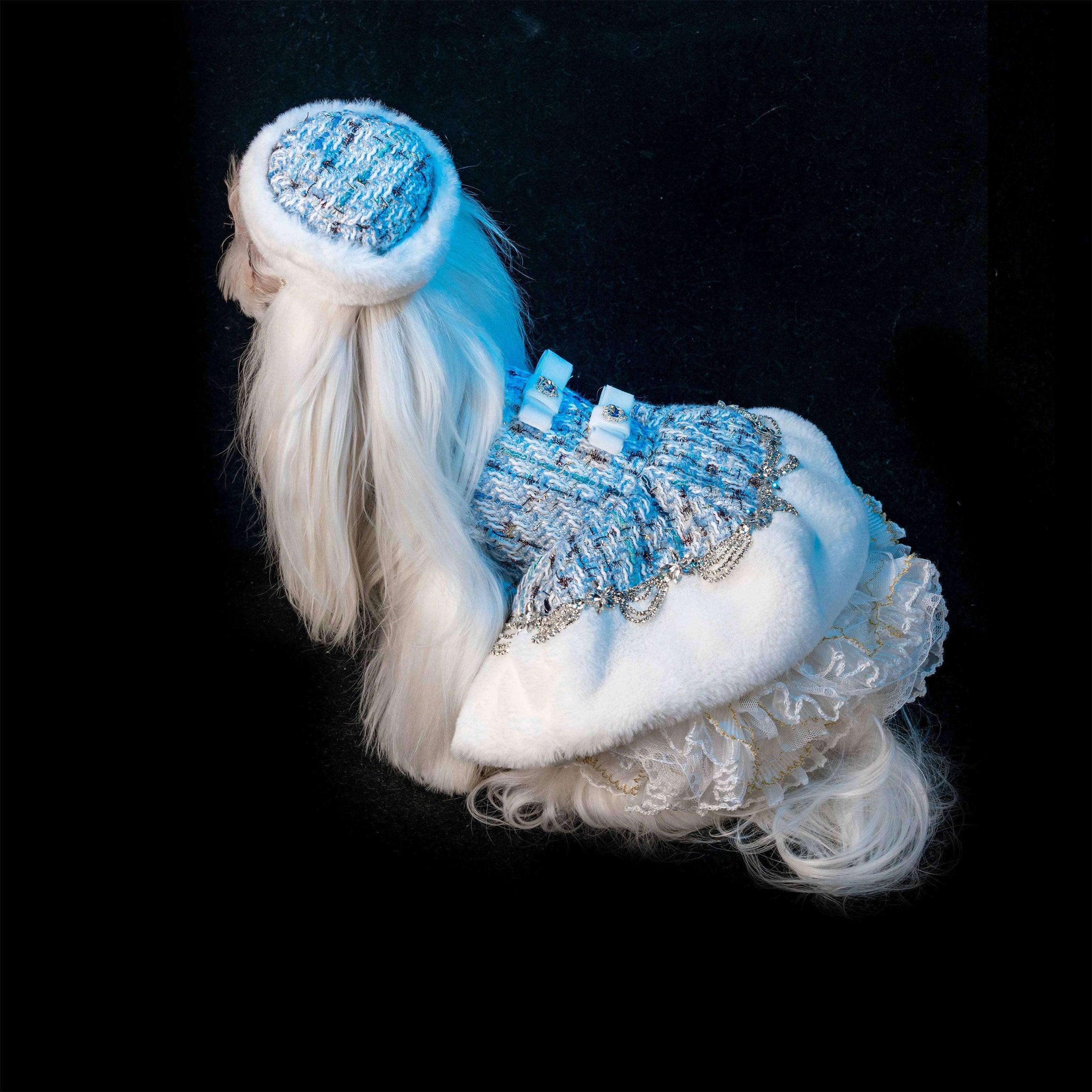 Gilded Paw Paw Arctic Voyage Pet Dress