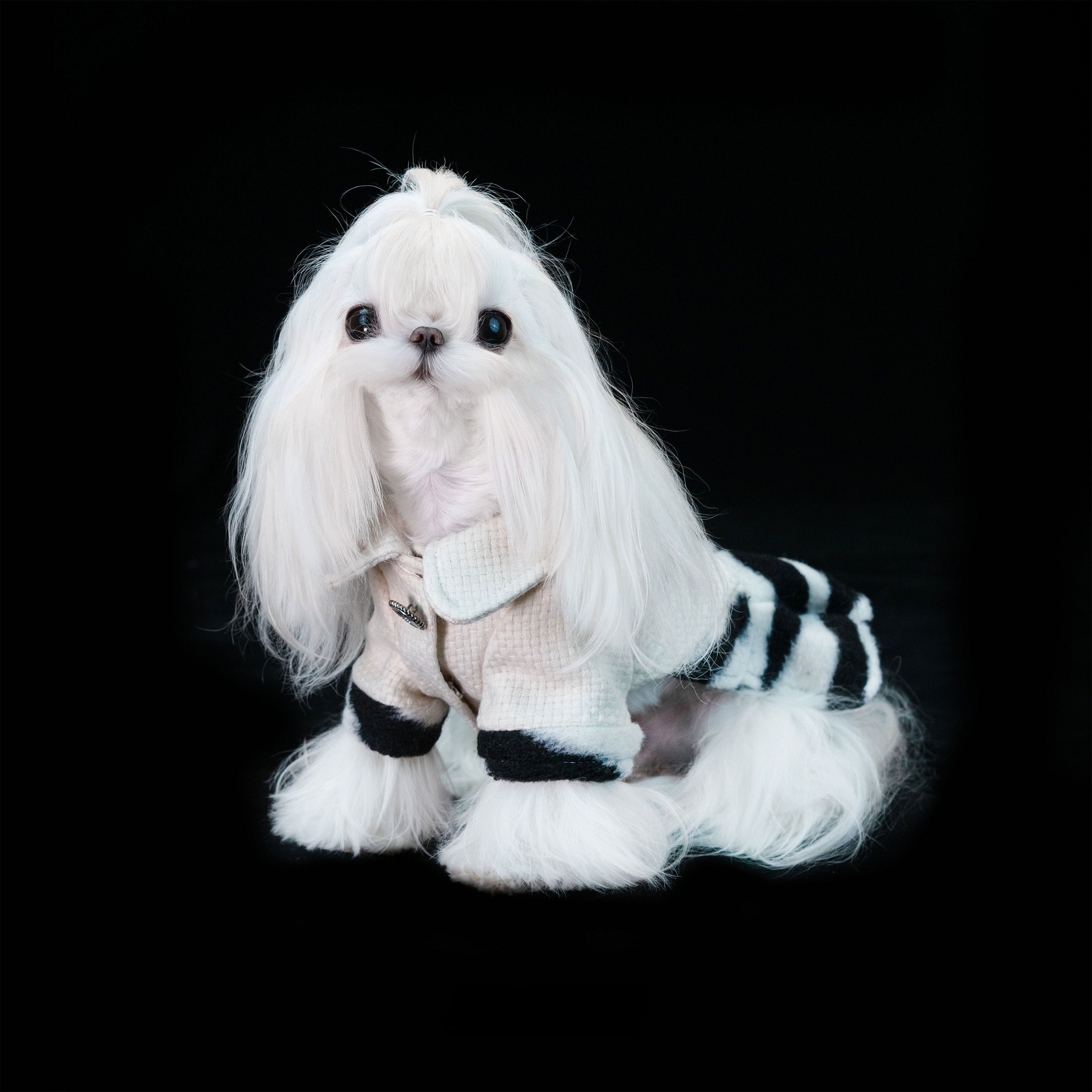 Gilded Paw Paw Modern Times • Zebra Pet Dress