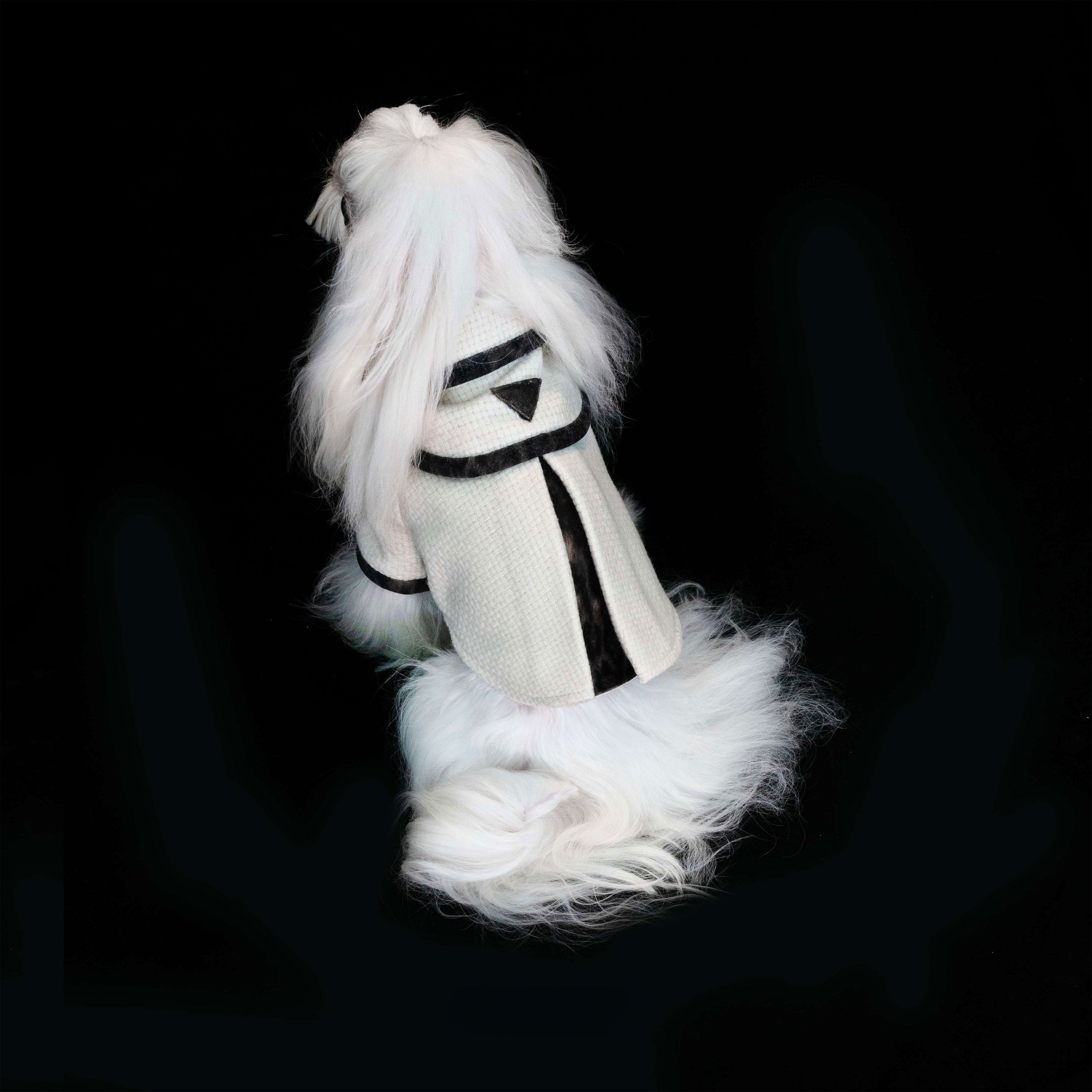 Gilded Paw Paw Baker Street Pet Coat