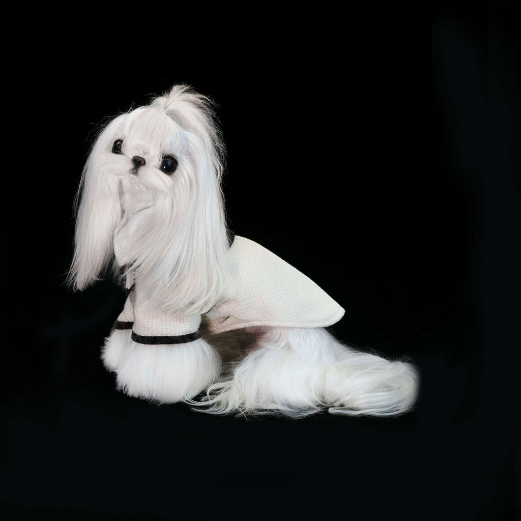 Gilded Paw Paw Baker Street Pet Coat