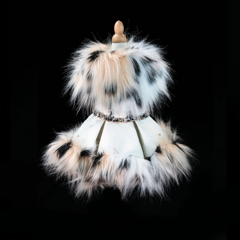 Gilded Paw Paw Phantom • Lynx Pet Dress