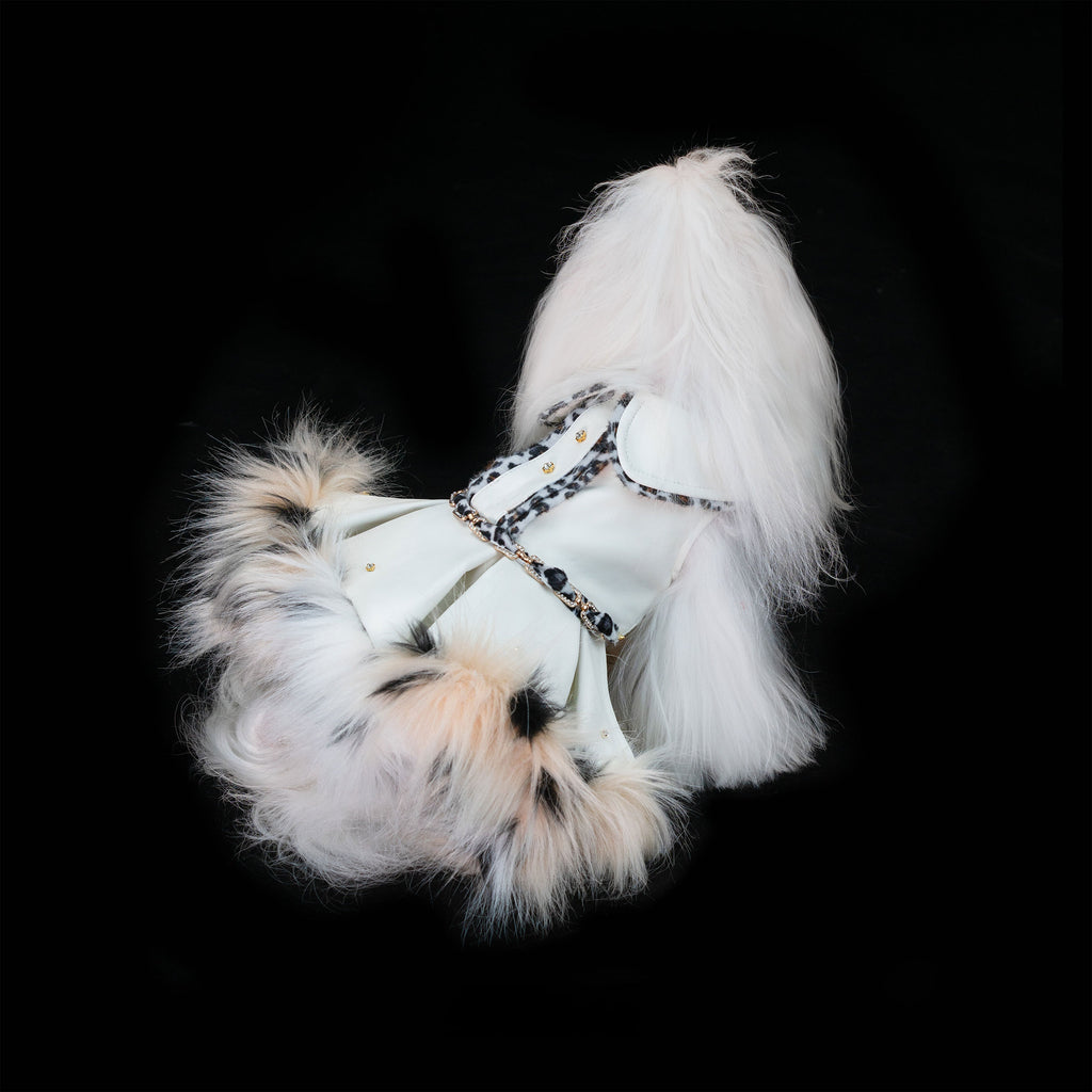 Gilded Paw Paw Phantom • Lynx Pet Dress