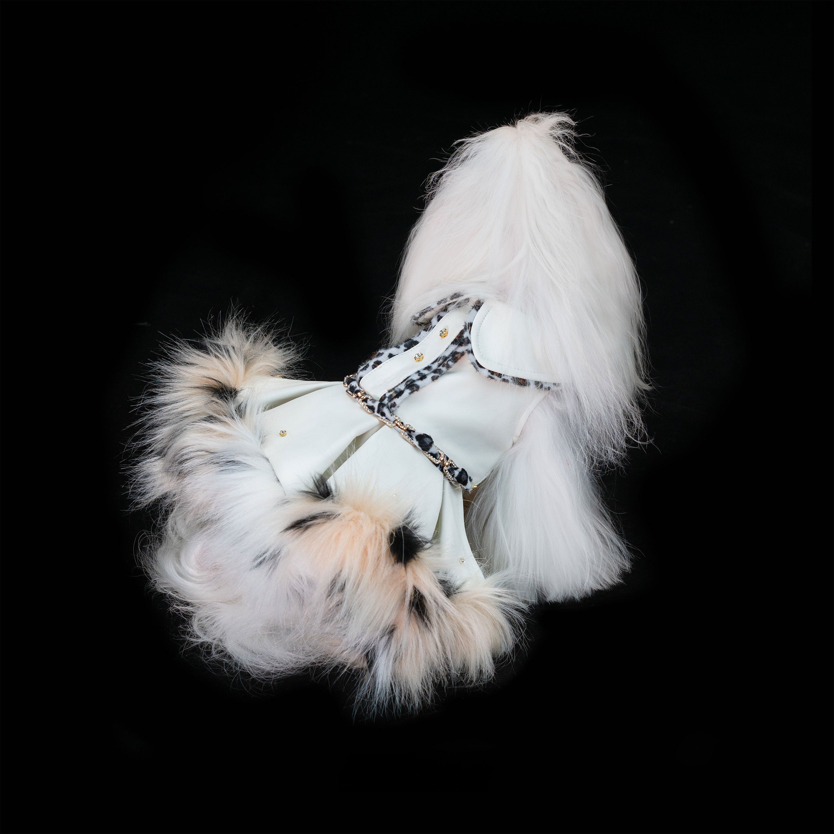 Gilded Paw Paw Phantom • Lynx Pet Dress
