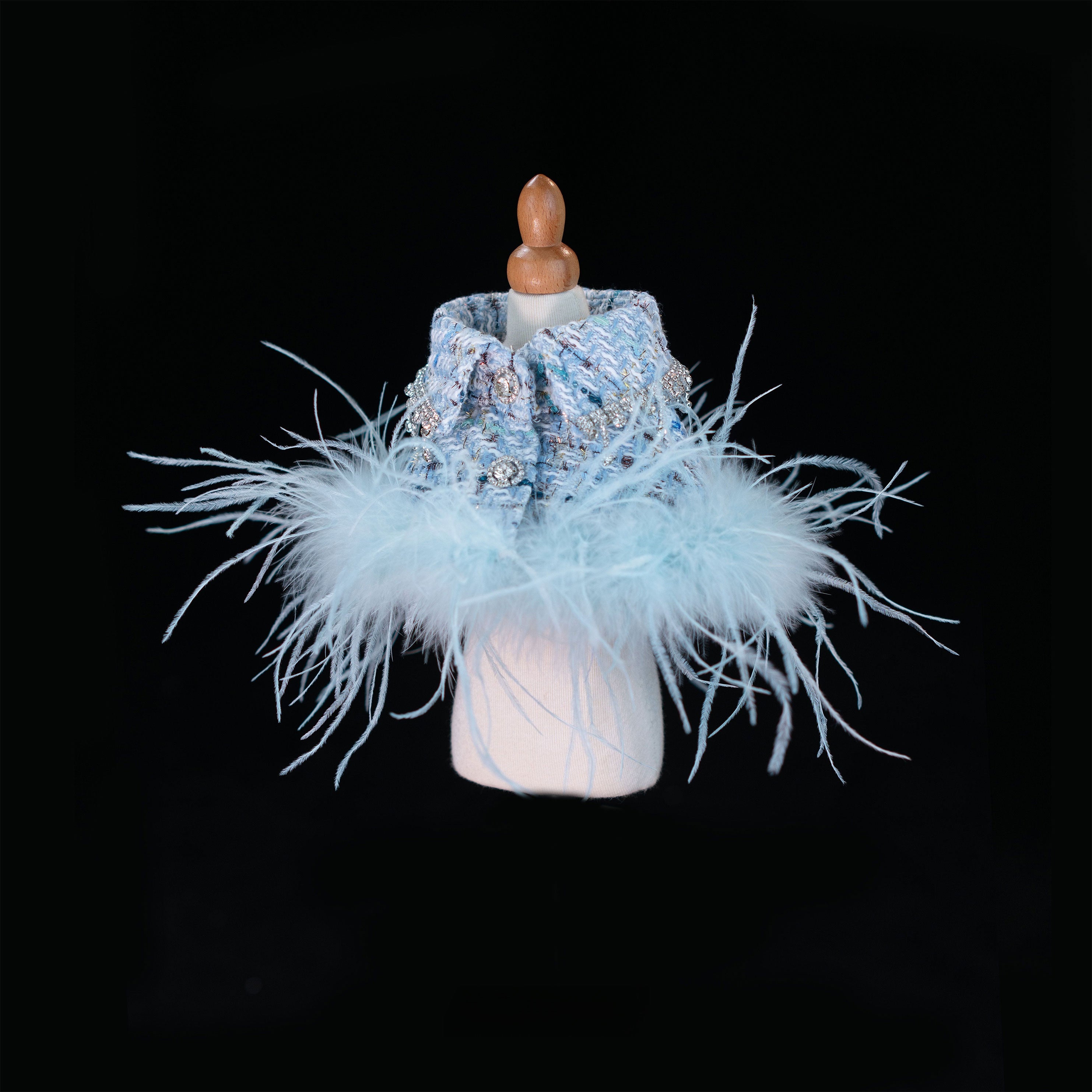 Gilded Paw Paw Demi's Conjecture Pet Dress