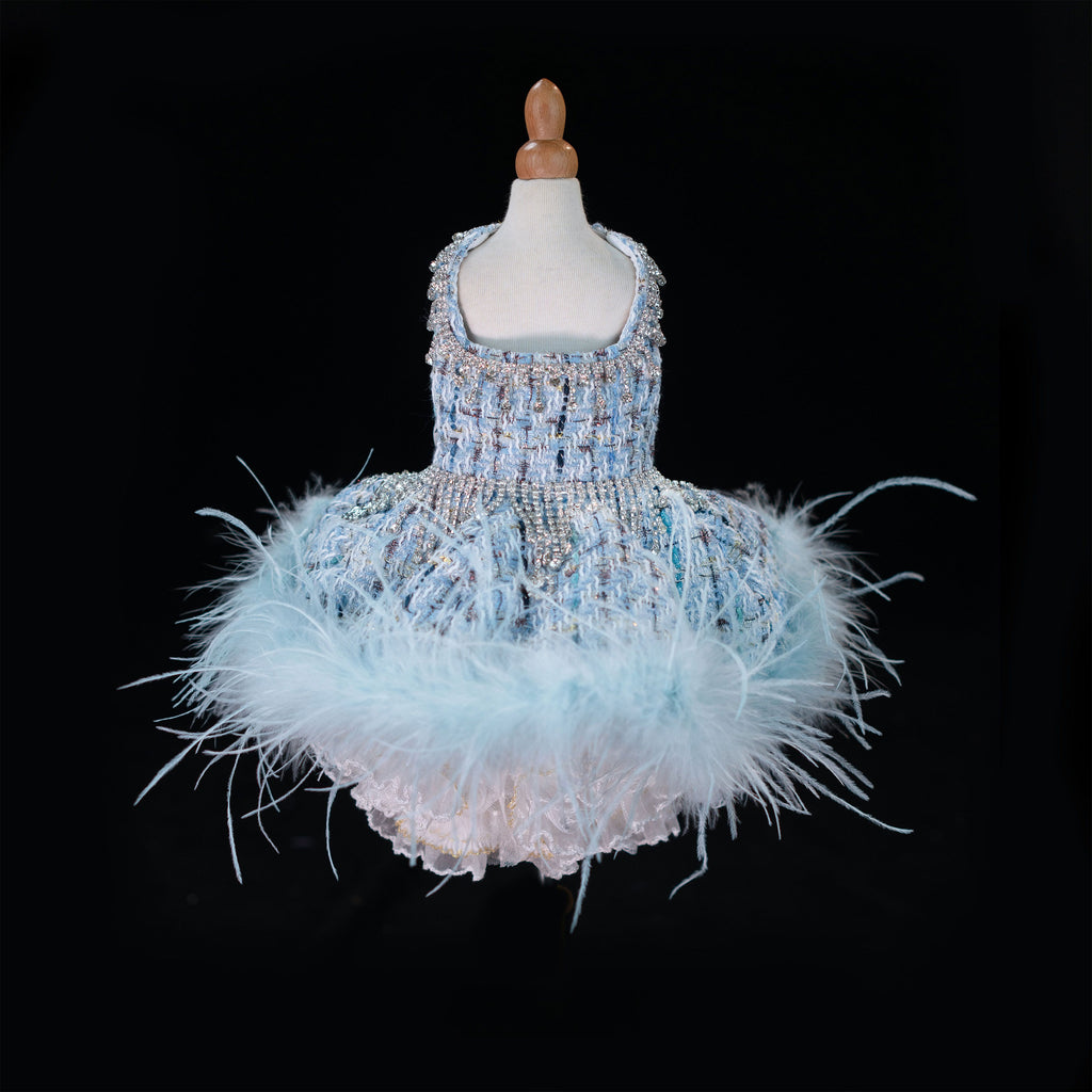 Gilded Paw Paw Demi's Conjecture Pet Dress