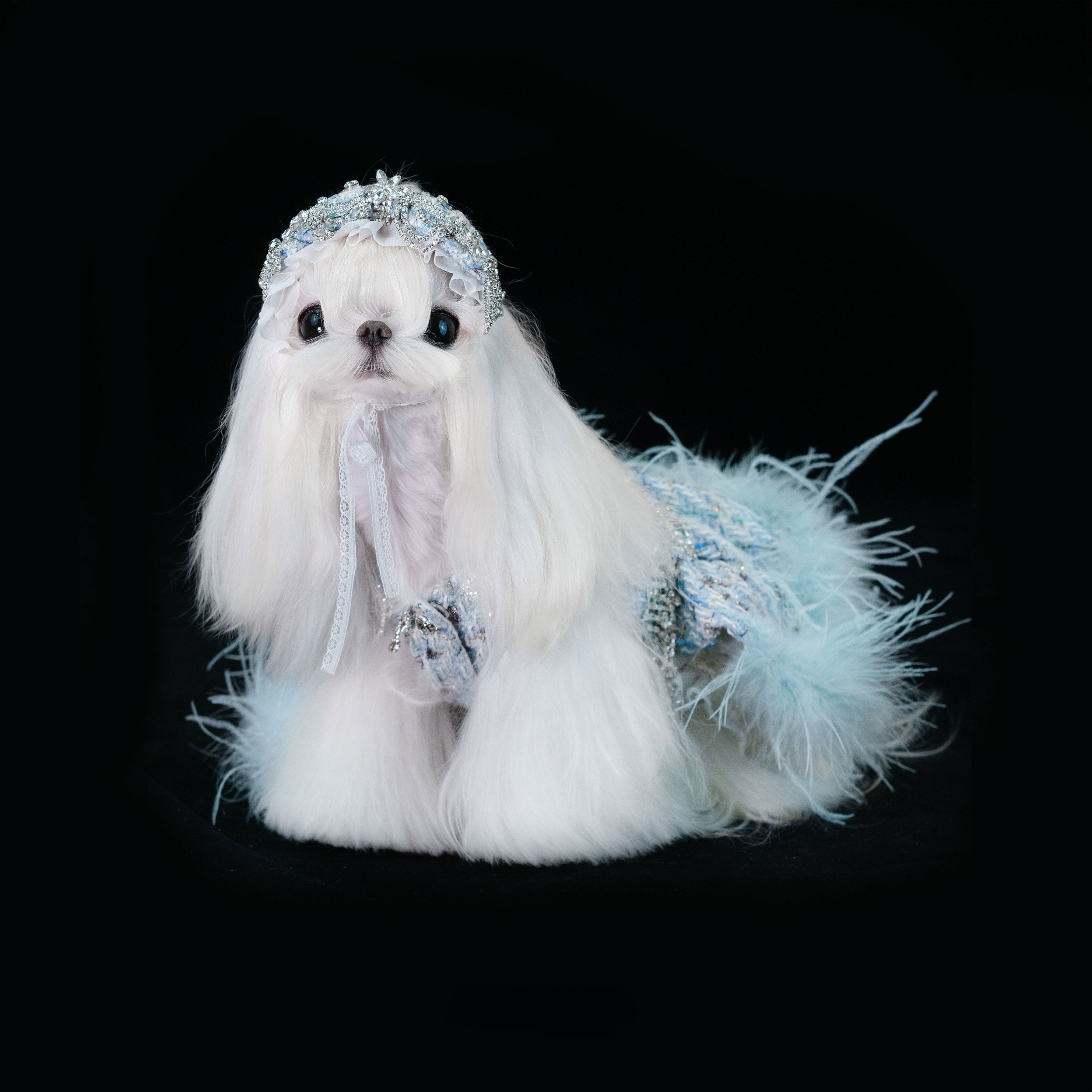 Gilded Paw Paw Demi's Conjecture Pet Dress