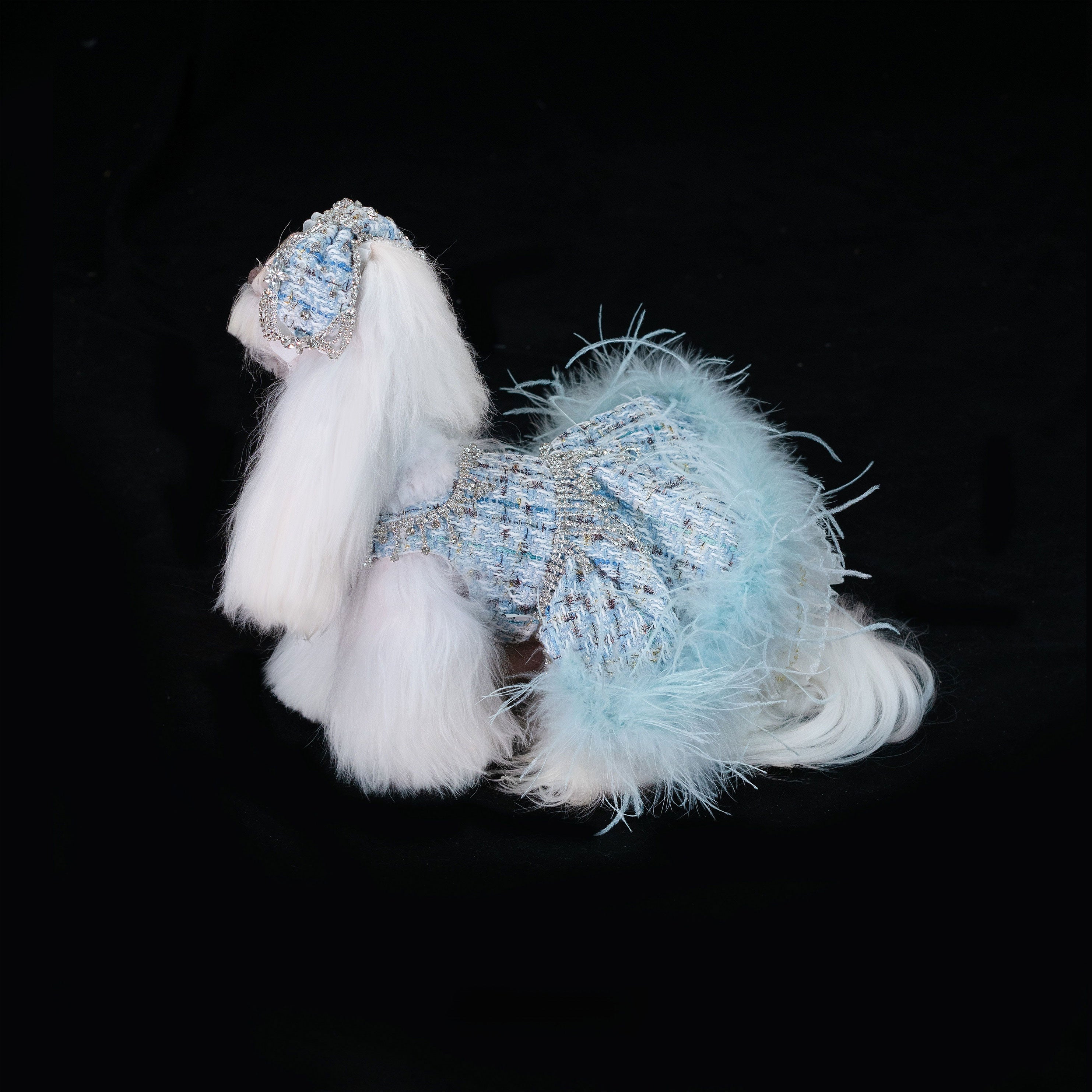 Gilded Paw Paw Demi's Conjecture Pet Dress