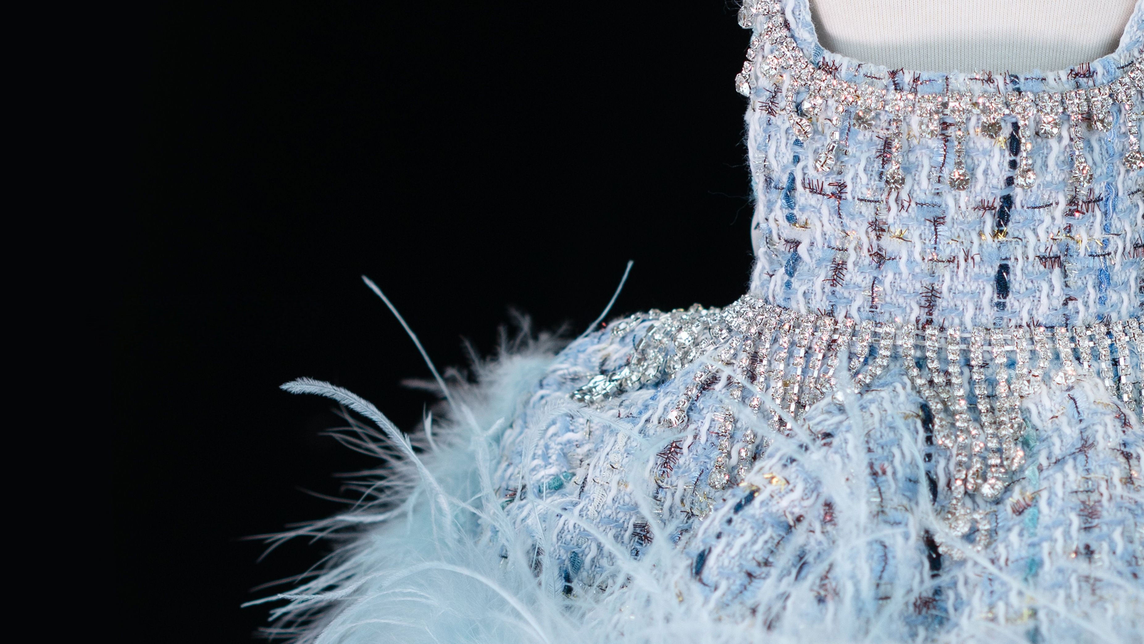 Gilded Paw Paw Demi's Conjecture Pet Dress