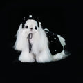 Gilded Paw Paw Velvet Sweetheart Pet Dress