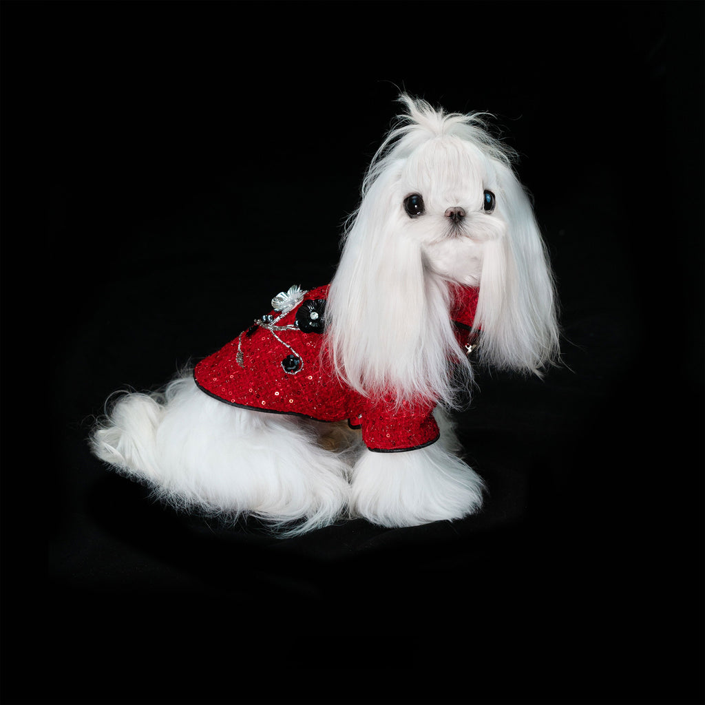 Gilded Paw Paw The Little Prince Pet Coat